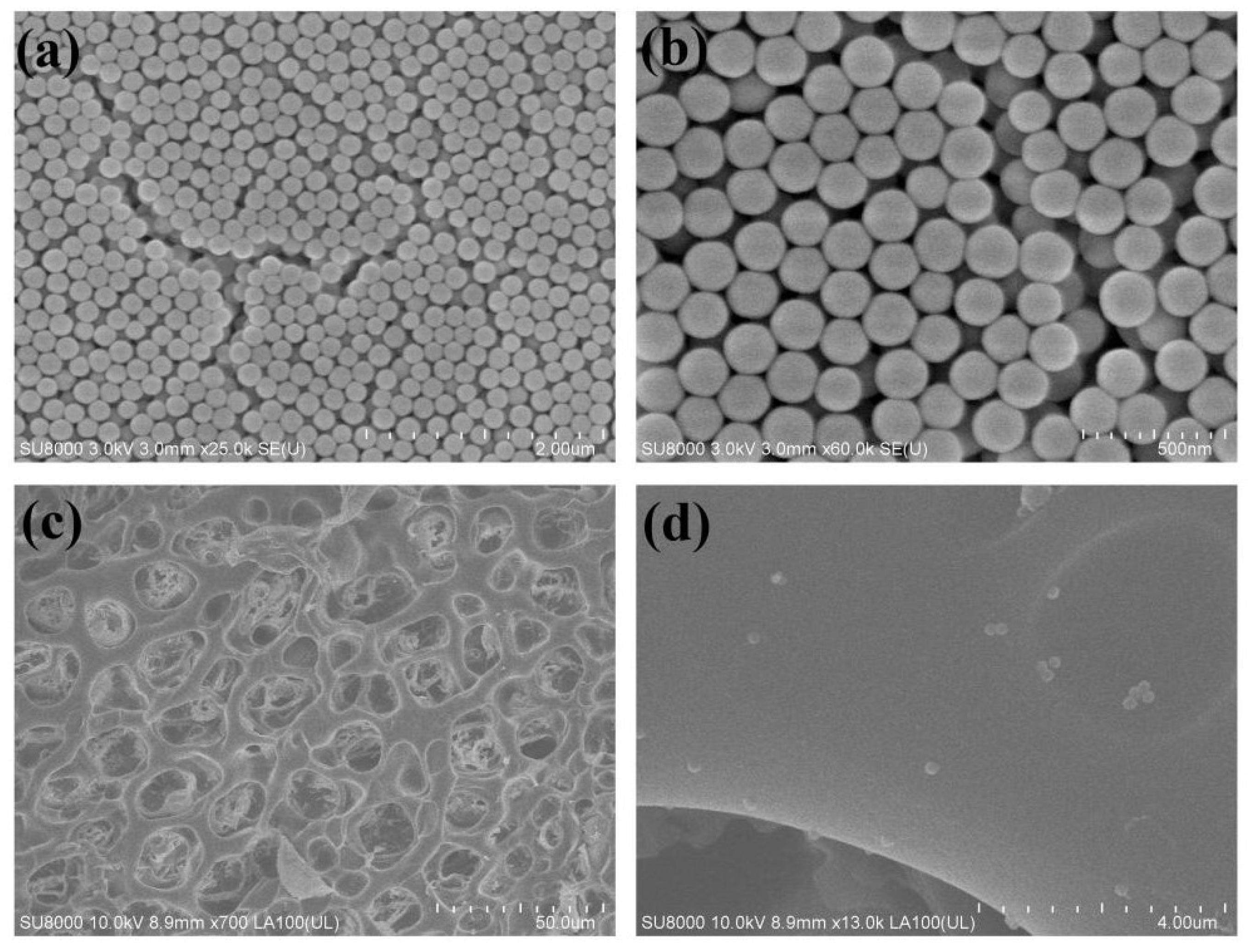 Nanomaterials 11 02328 g003