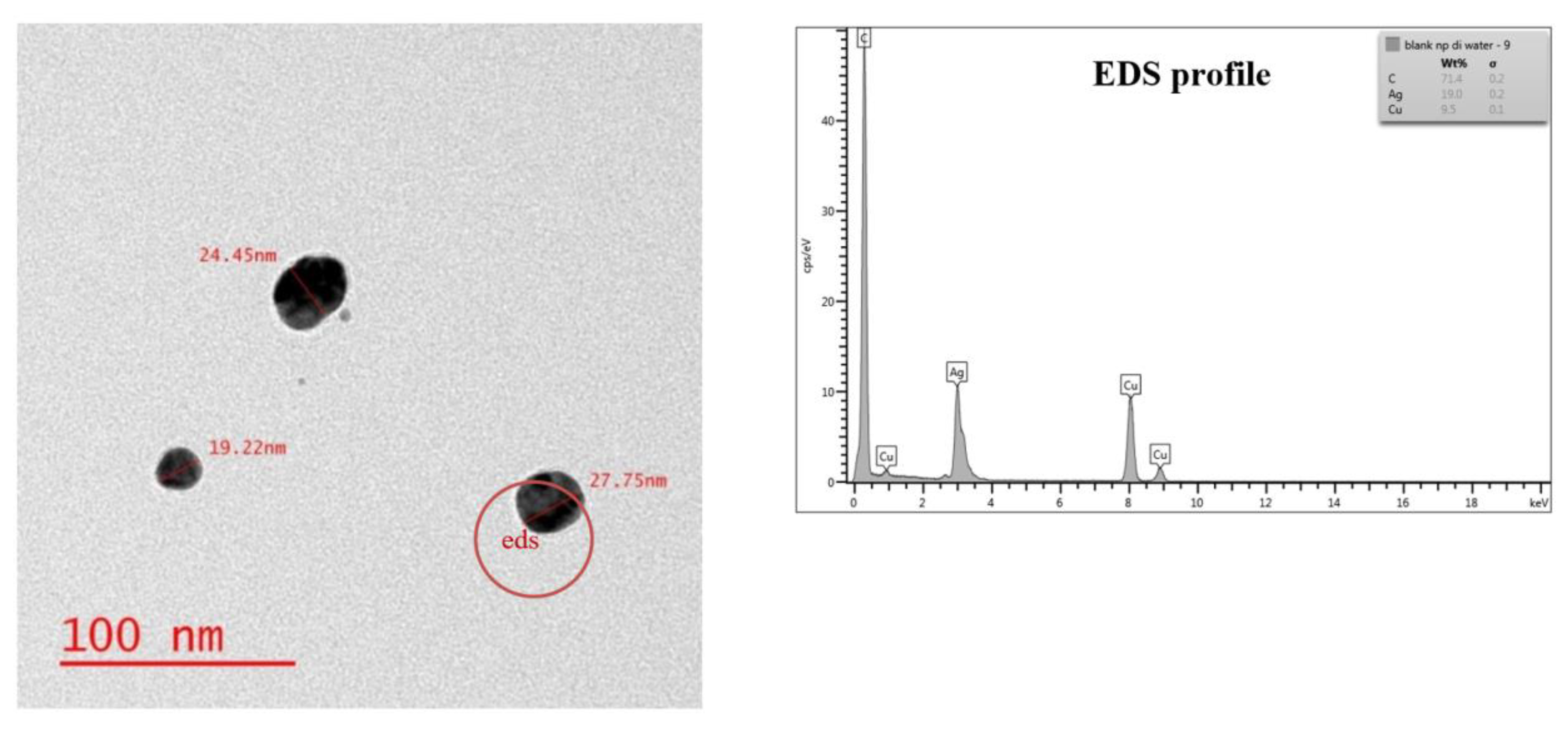 Nanomaterials 11 02330 g001 Nanomaterials 11 02330 g001