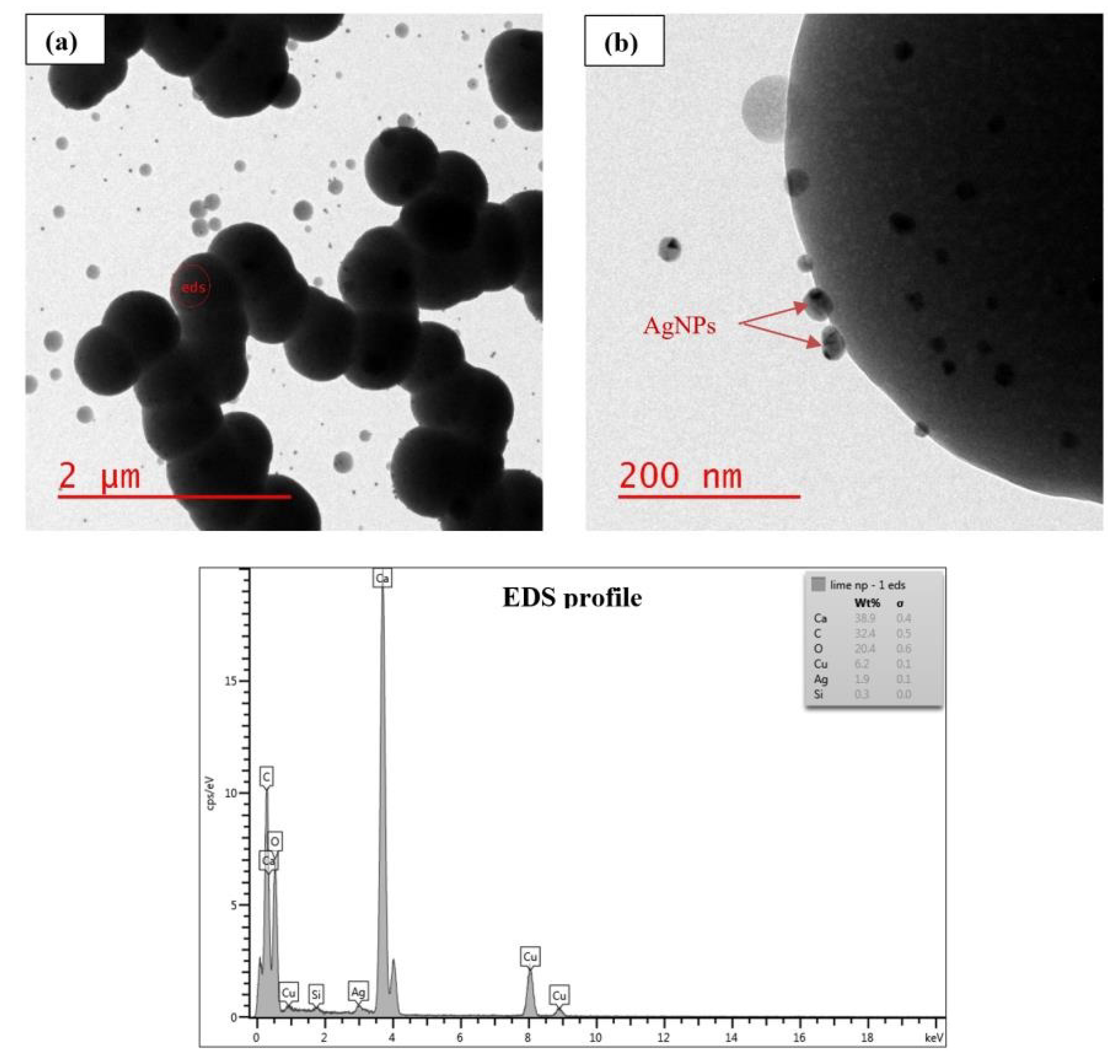 Nanomaterials 11 02330 g002 Nanomaterials 11 02330 g002