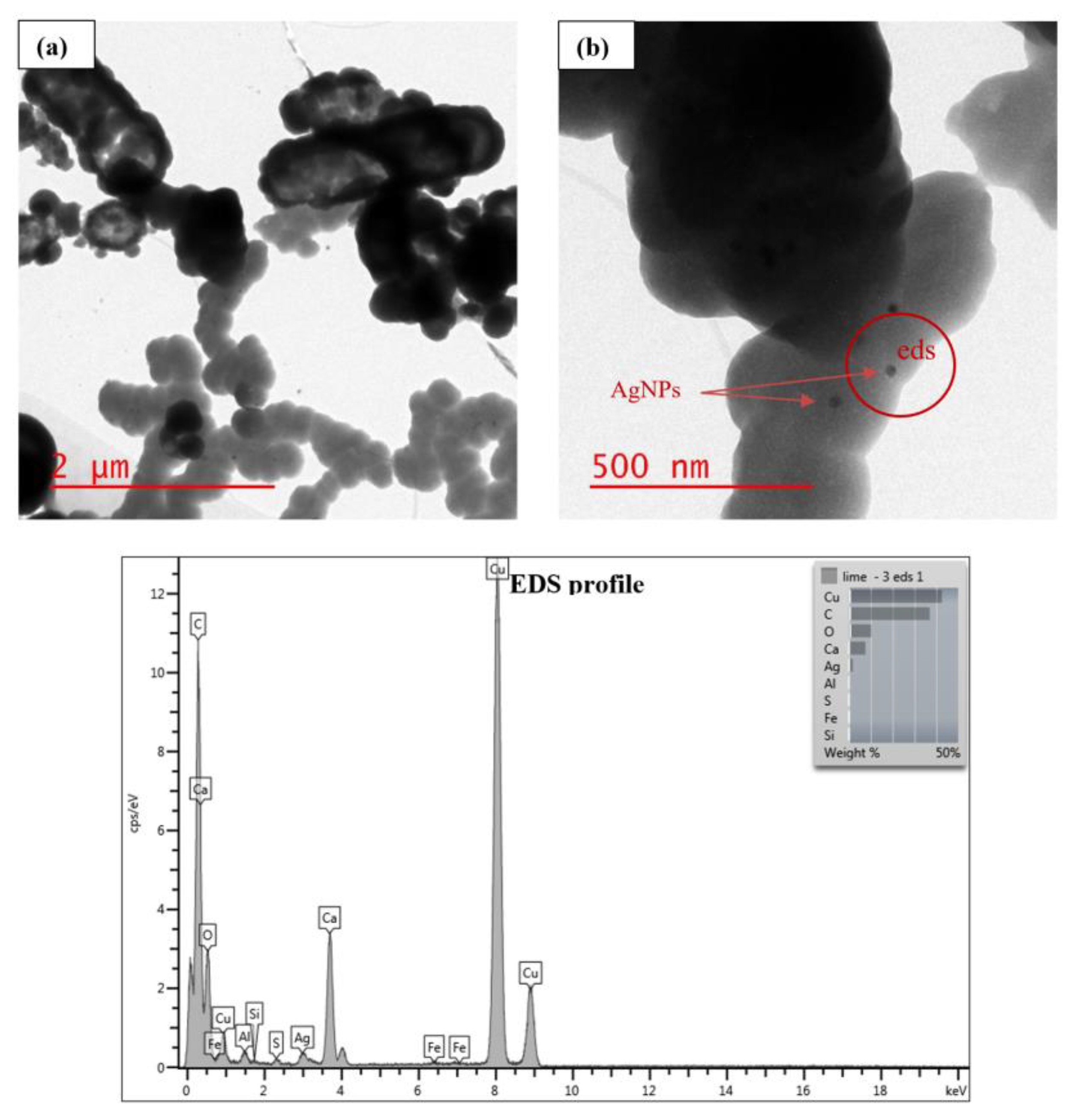 Nanomaterials 11 02330 g003 Nanomaterials 11 02330 g003