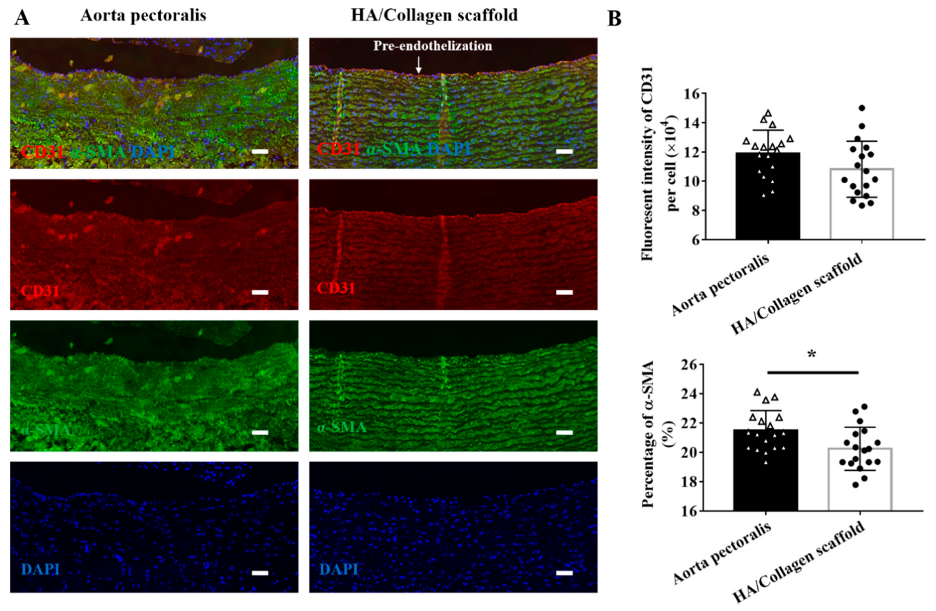 Nanomaterials 11 02334 g008