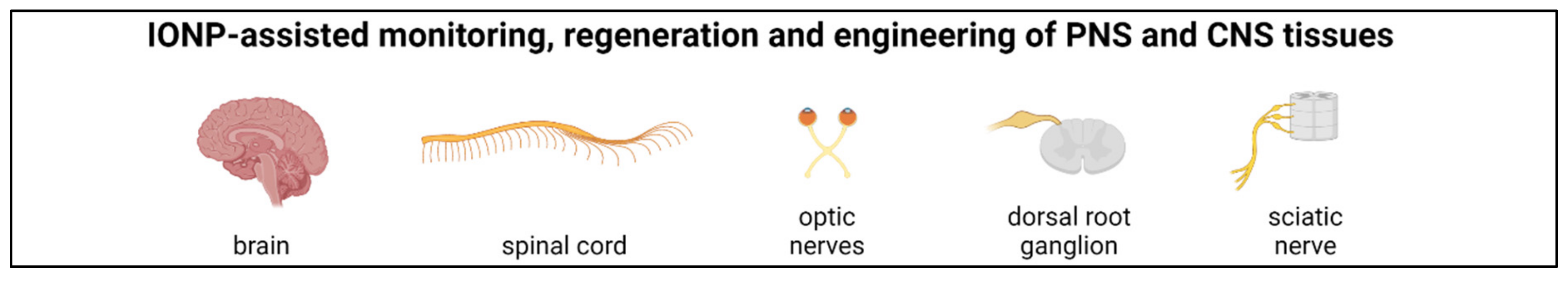 Nanomaterials 11 02337 g006