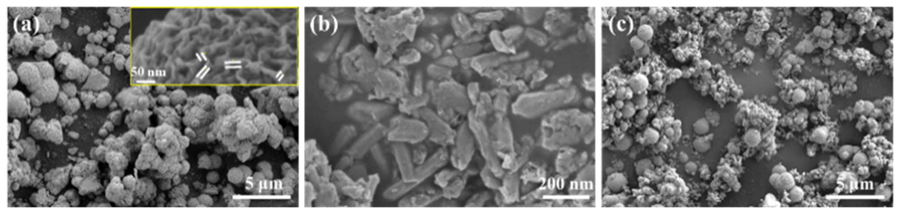 Nanomaterials 11 02346 g001