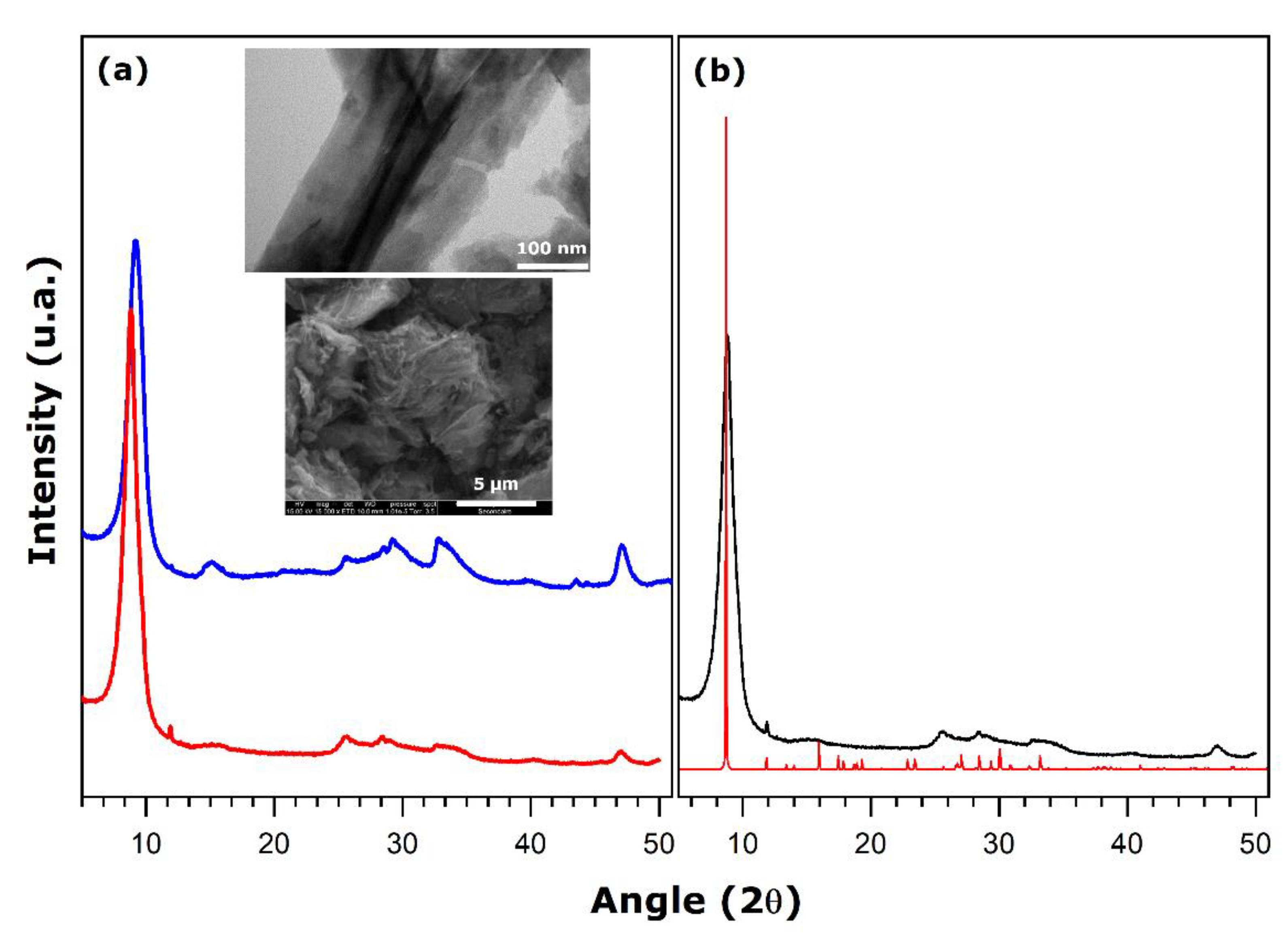 Nanomaterials 11 02349 g006 550