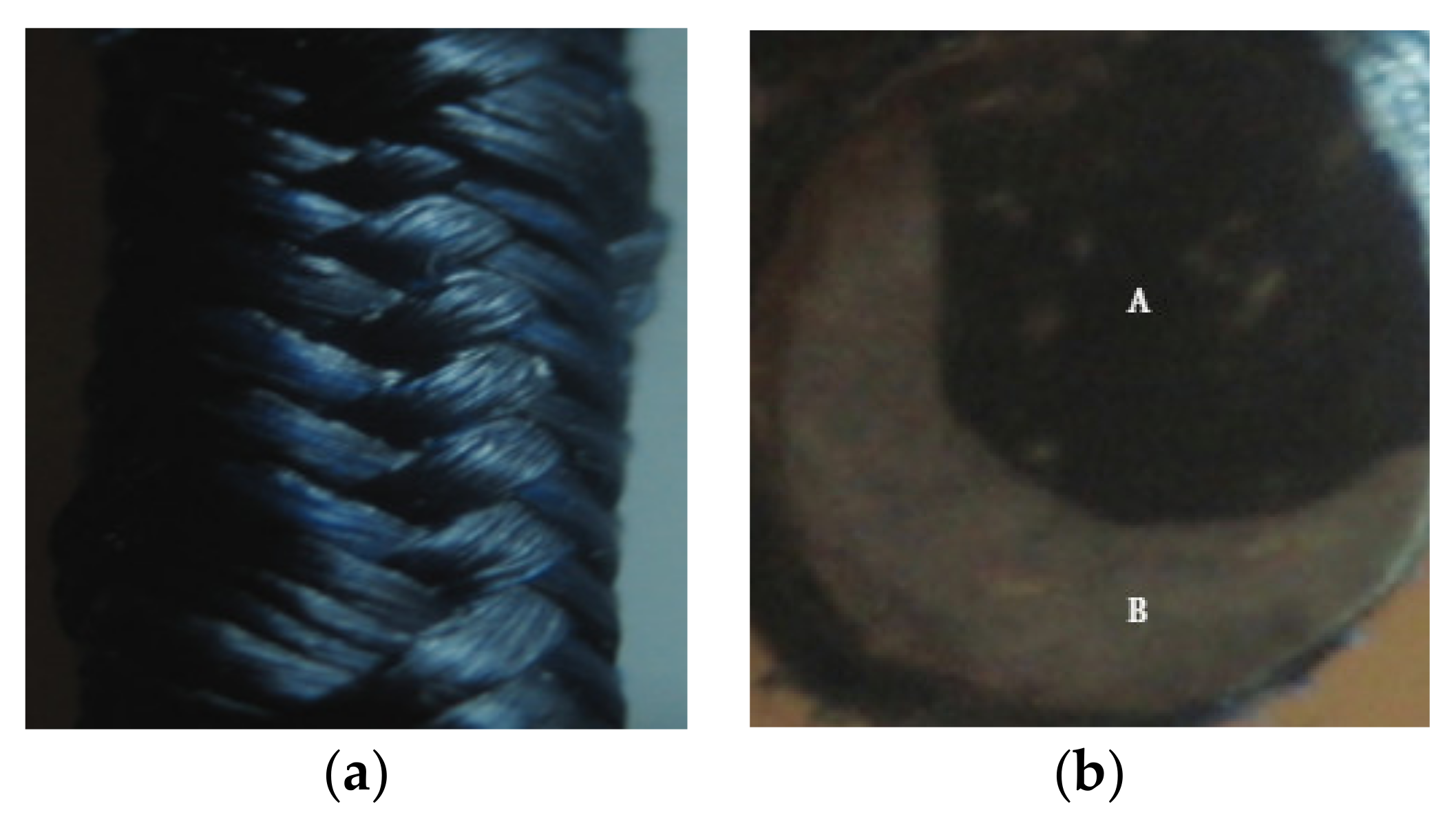 Nanomaterials 11 02355 g023 550