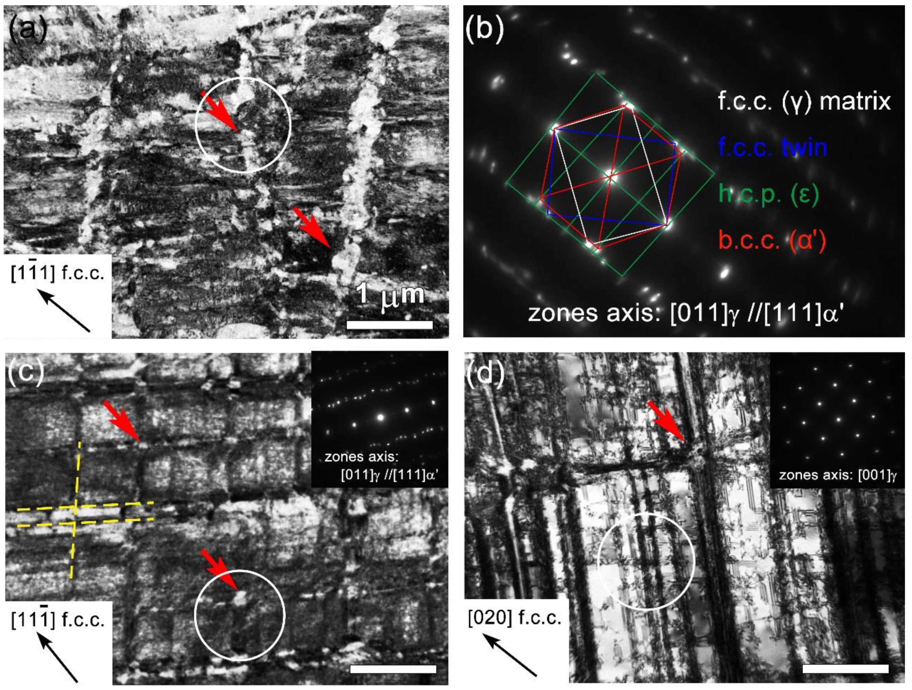 Nanomaterials 11 02356 g002