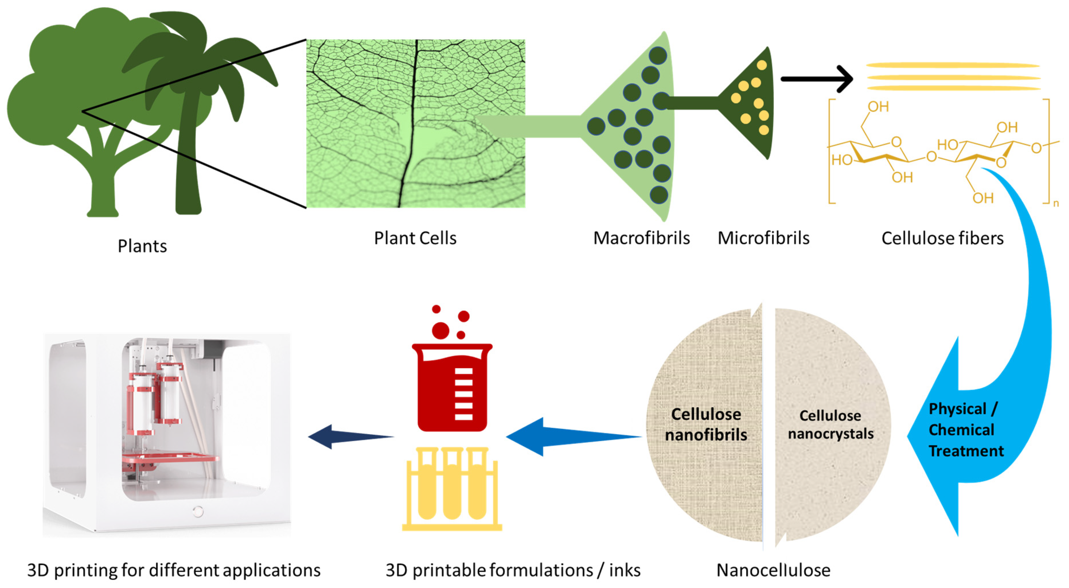 Nanomaterials | Free Full-Text | 3D-Printable Nanocellulose-Based  Functional Materials: Fundamentals and Applications | HTML