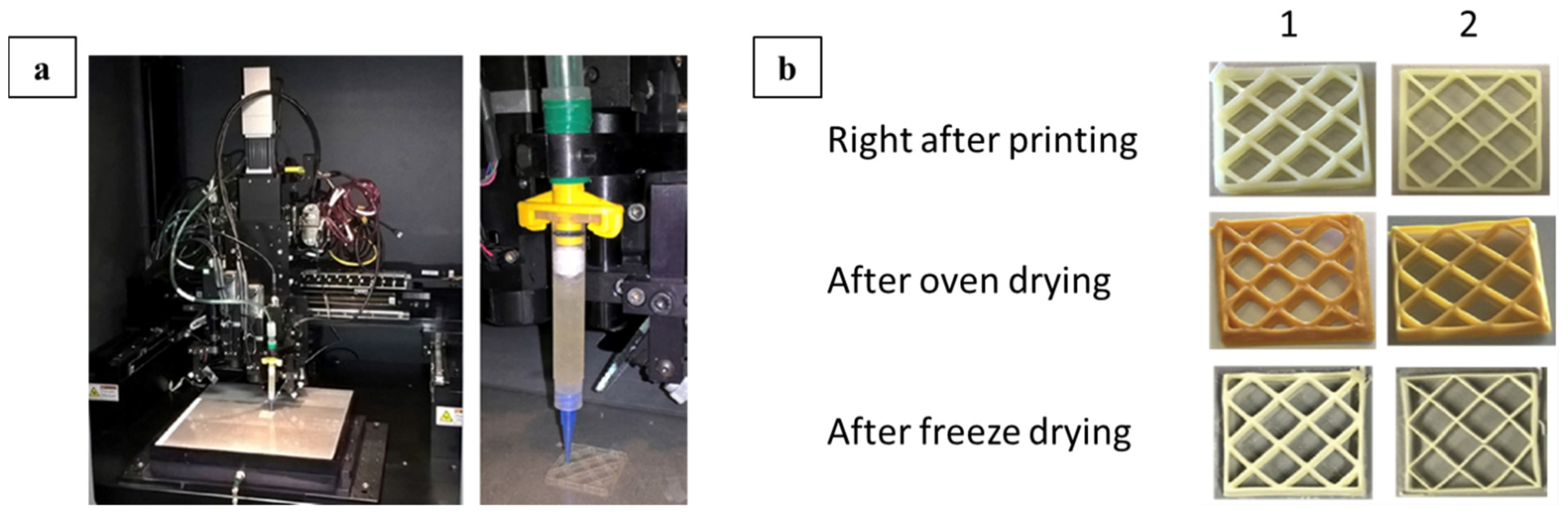 Nanomaterials 11 02358 g010