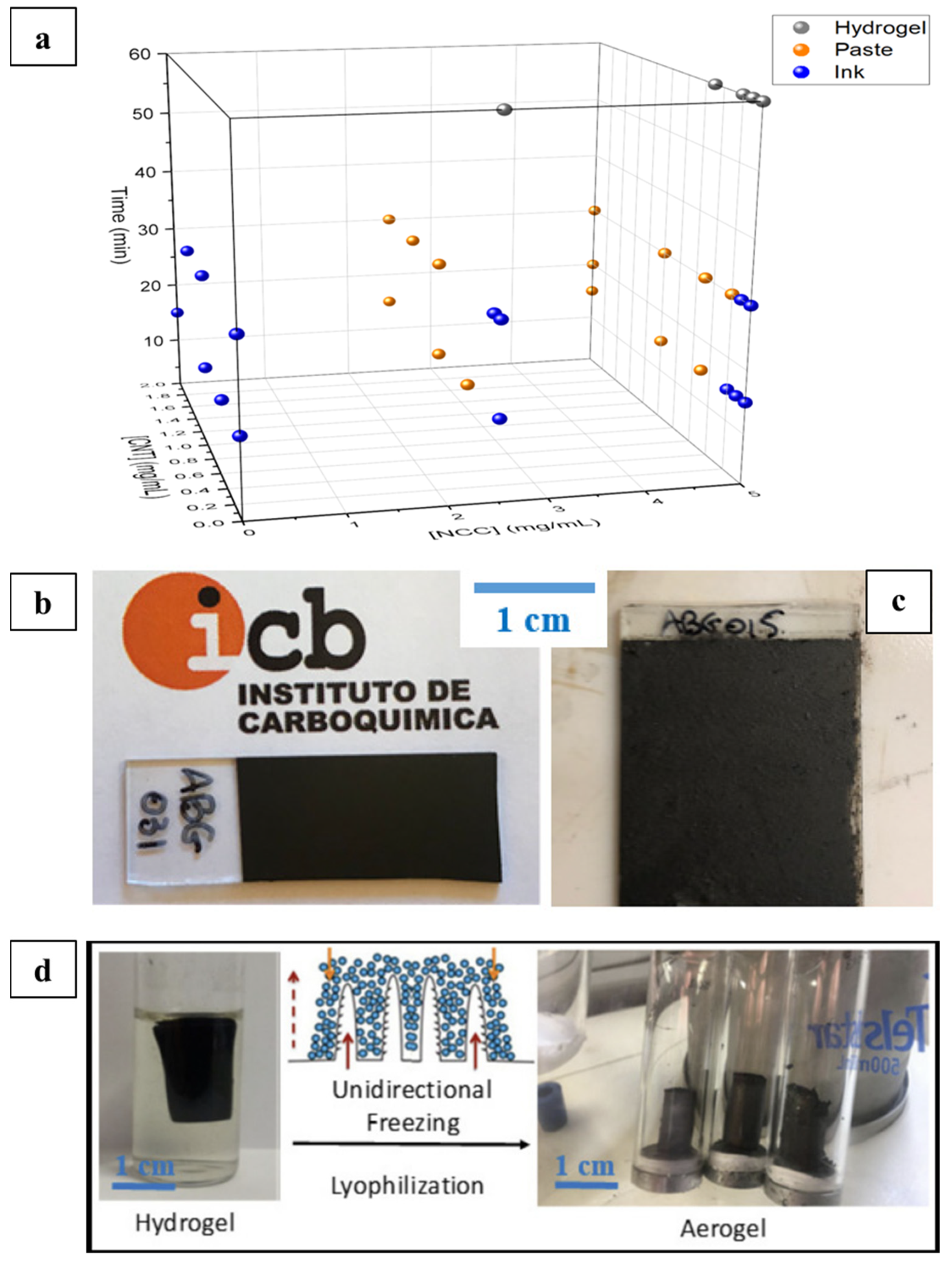 Nanomaterials 11 02358 g015