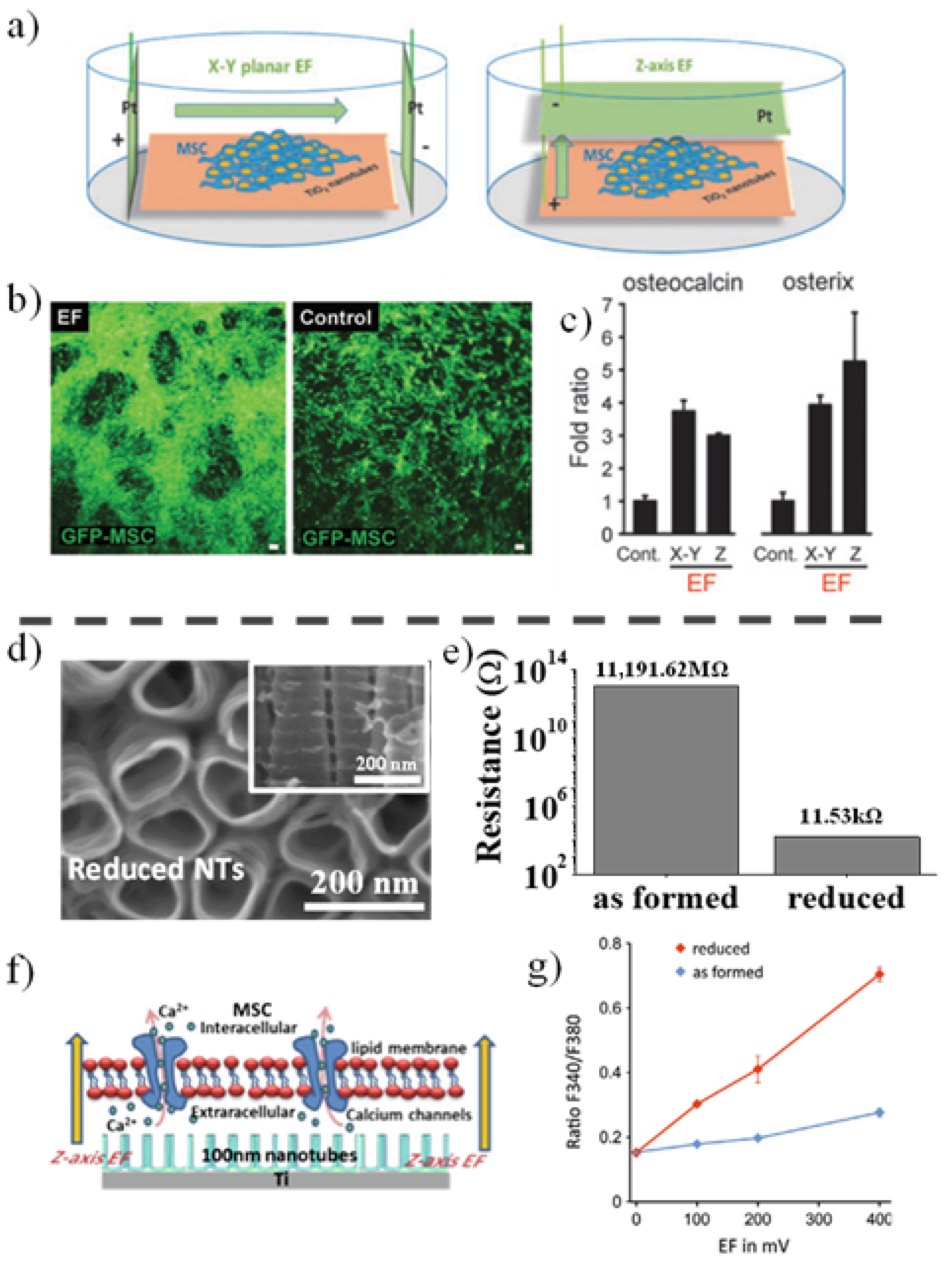 Nanomaterials 11 02359 g010 Nanomaterials 11 02359 g010