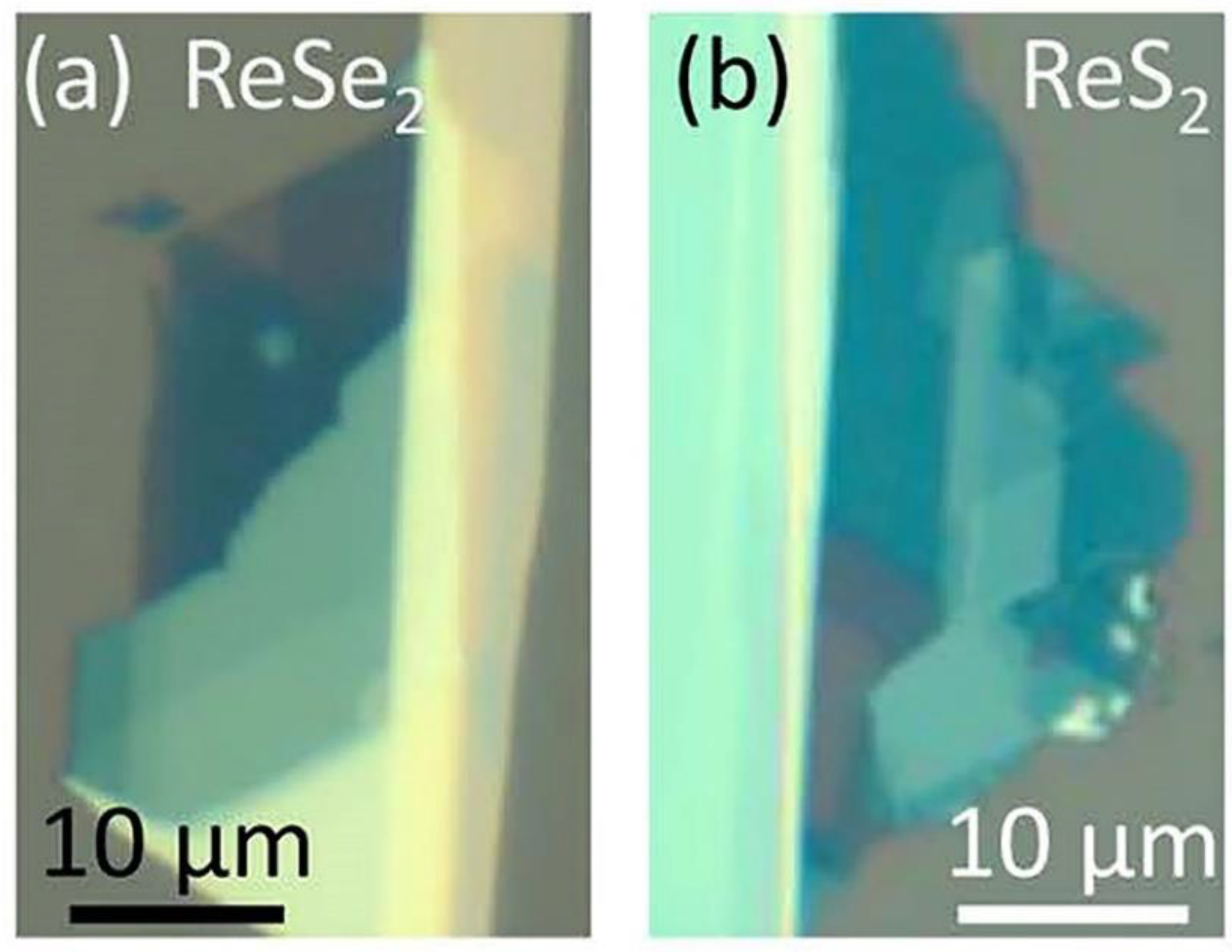Nanomaterials 11 02367 g007 550