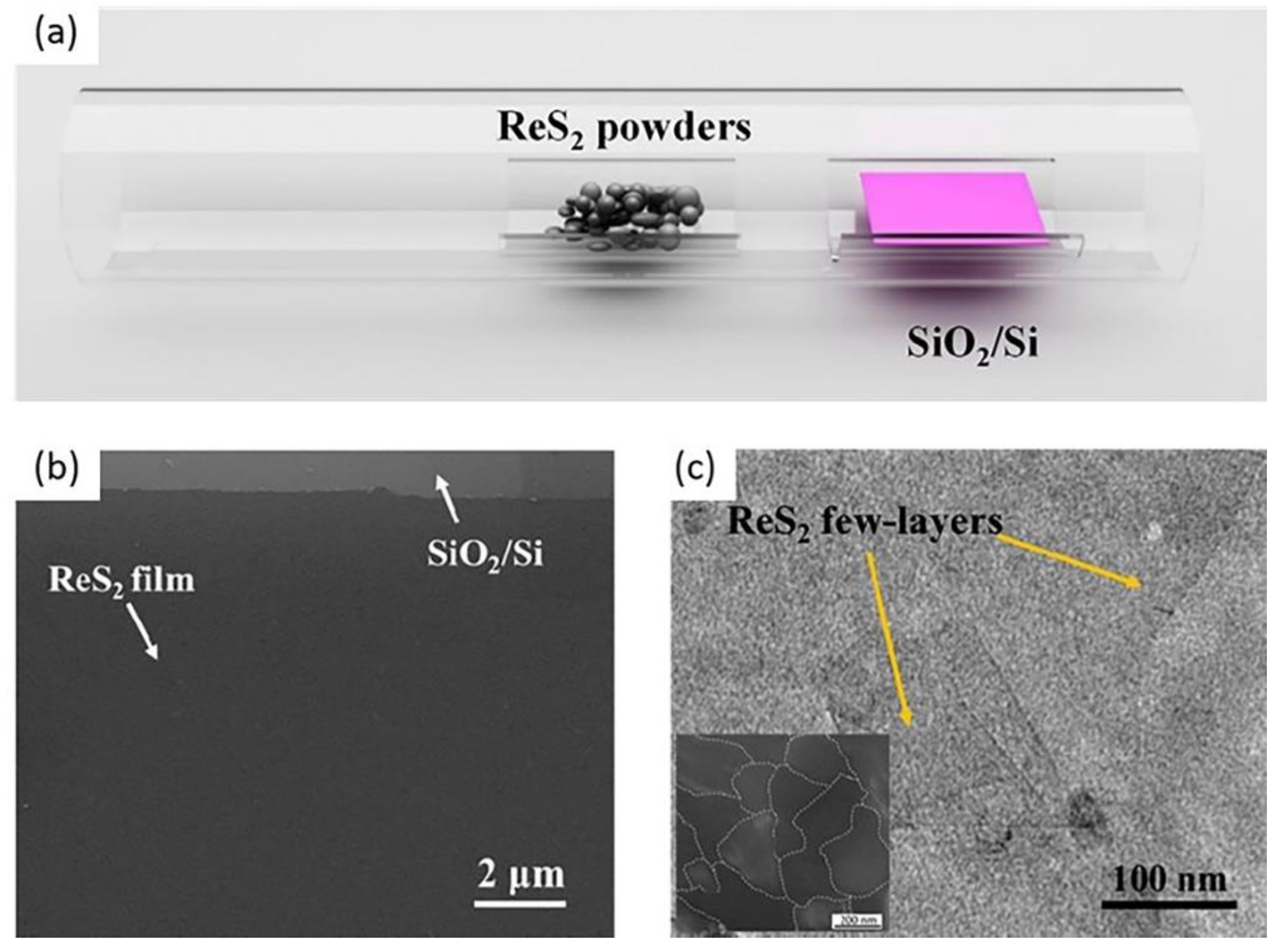 Nanomaterials 11 02367 g008 550