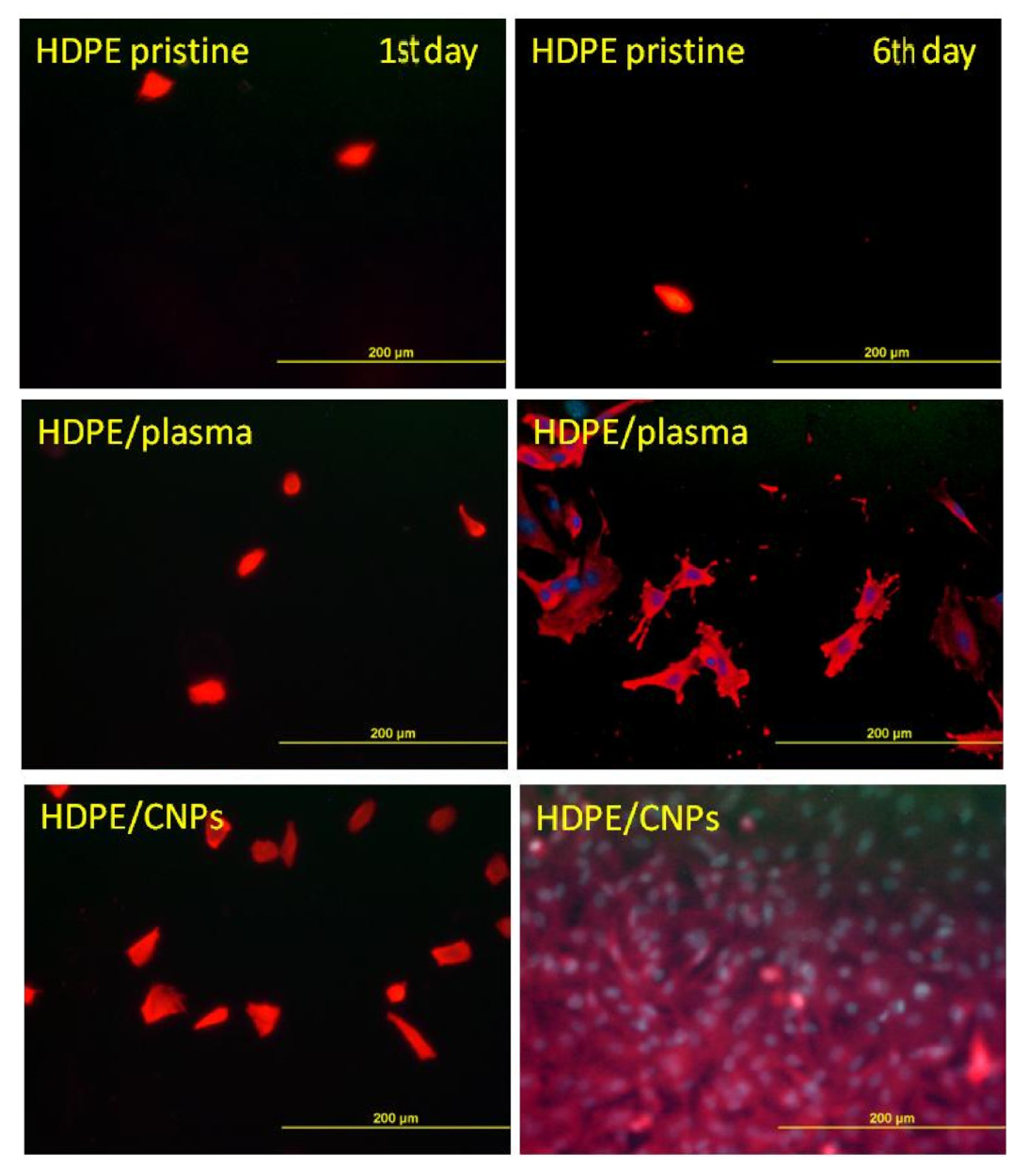 Nanomaterials 11 02368 g006