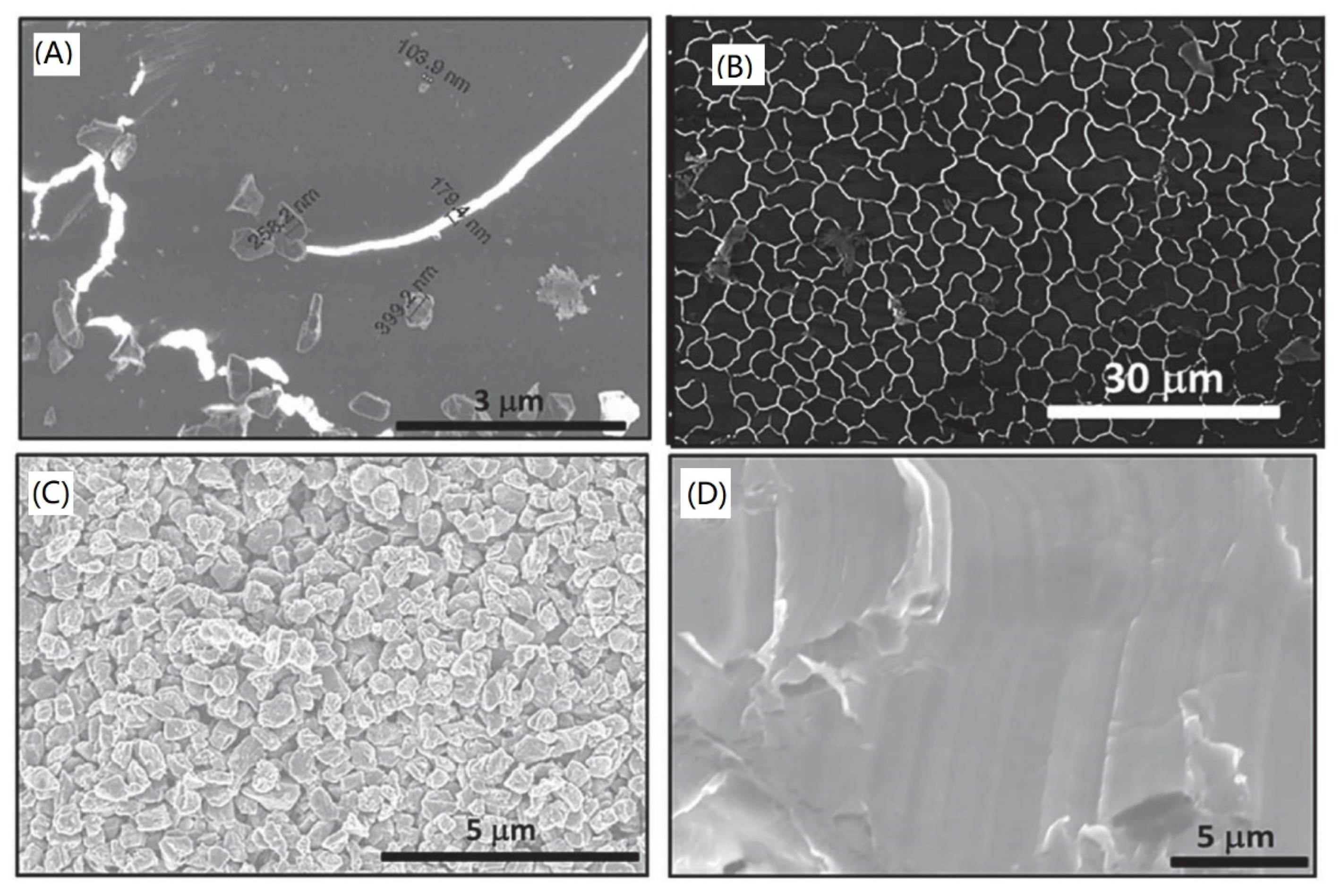 Nanomaterials 11 02368 g007