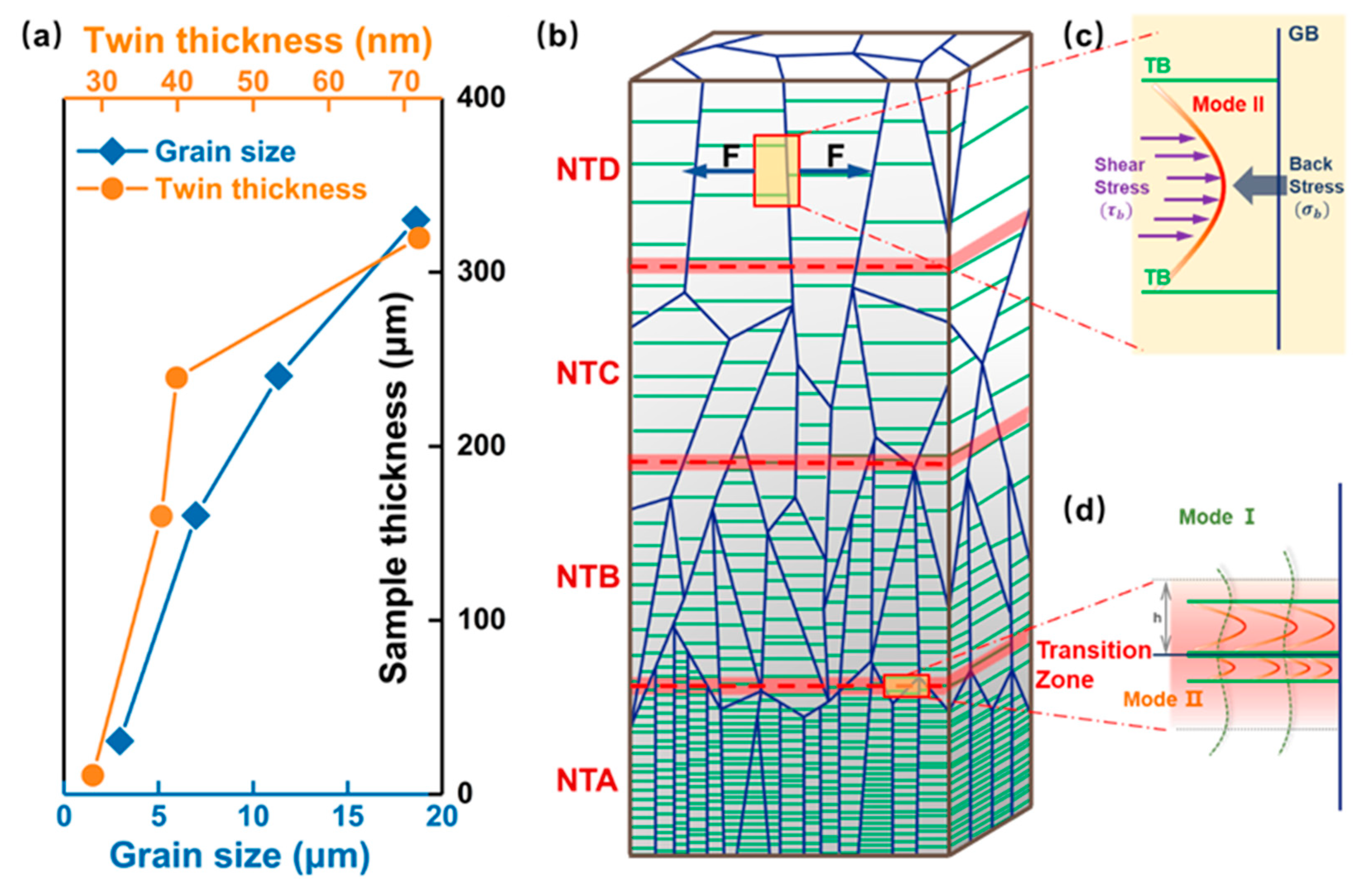Nanomaterials 11 02375 g001