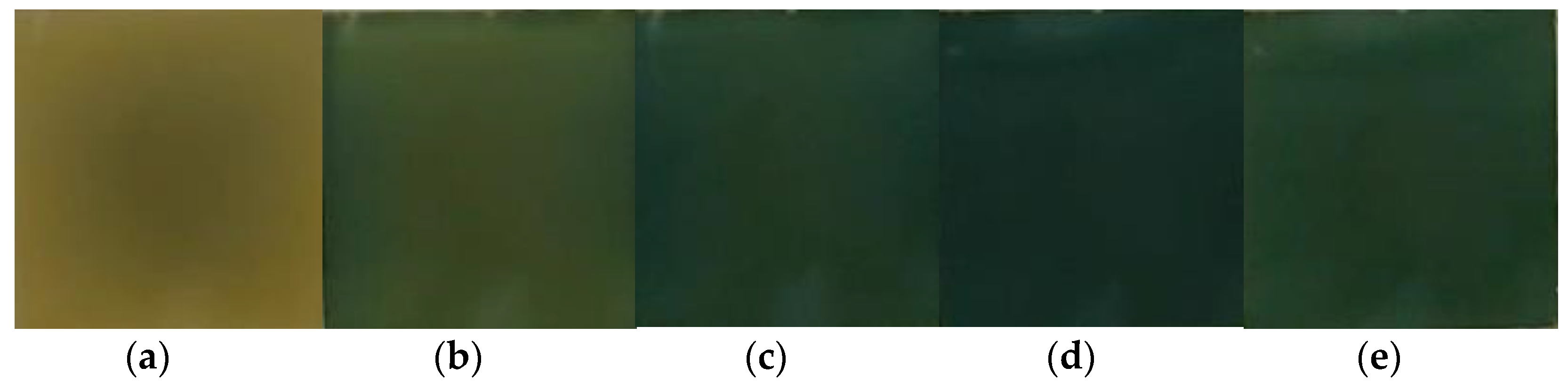 Nanomaterials 11 02376 g010