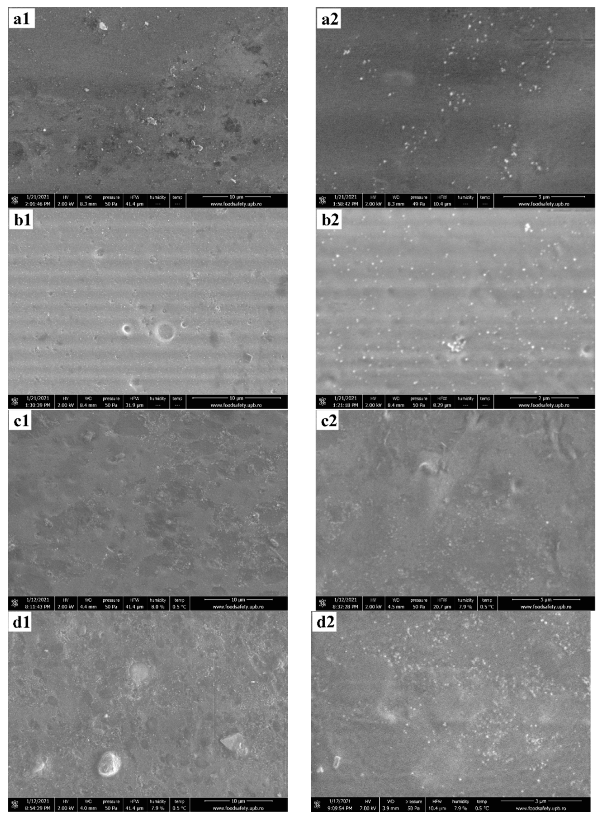 Nanomaterials 11 02377 g002