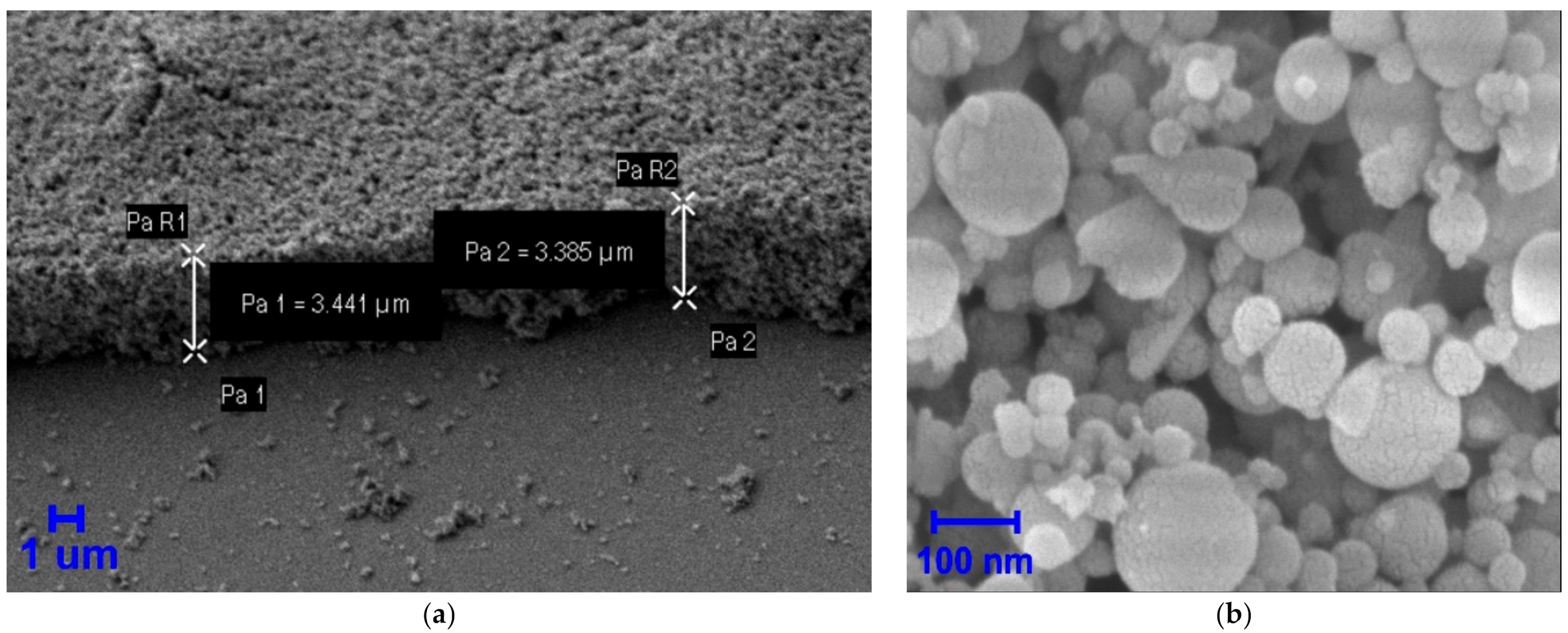 Nanomaterials 11 02379 g001a