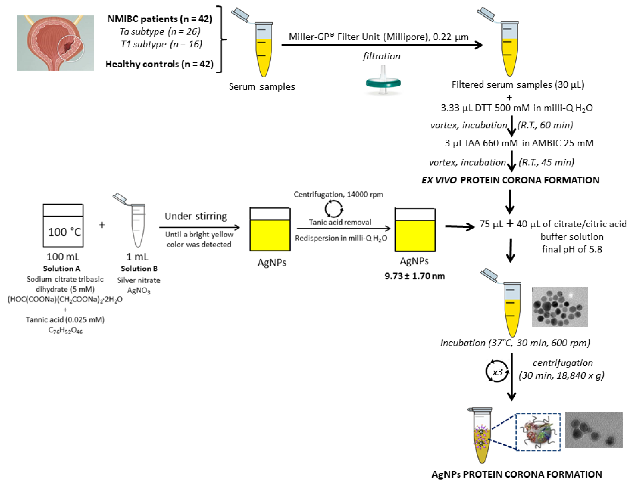 Nanomaterials 11 02384 g002 Nanomaterials 11 02384 g002