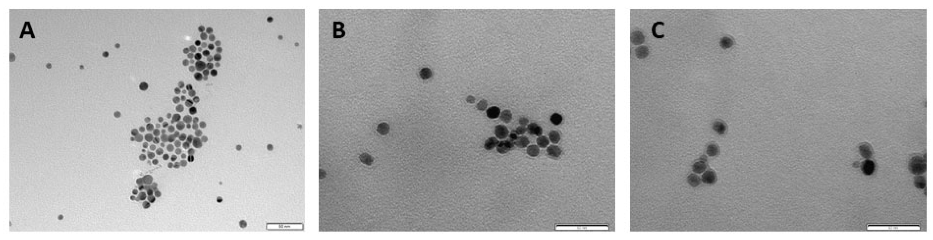Nanomaterials 11 02384 g003 Nanomaterials 11 02384 g003
