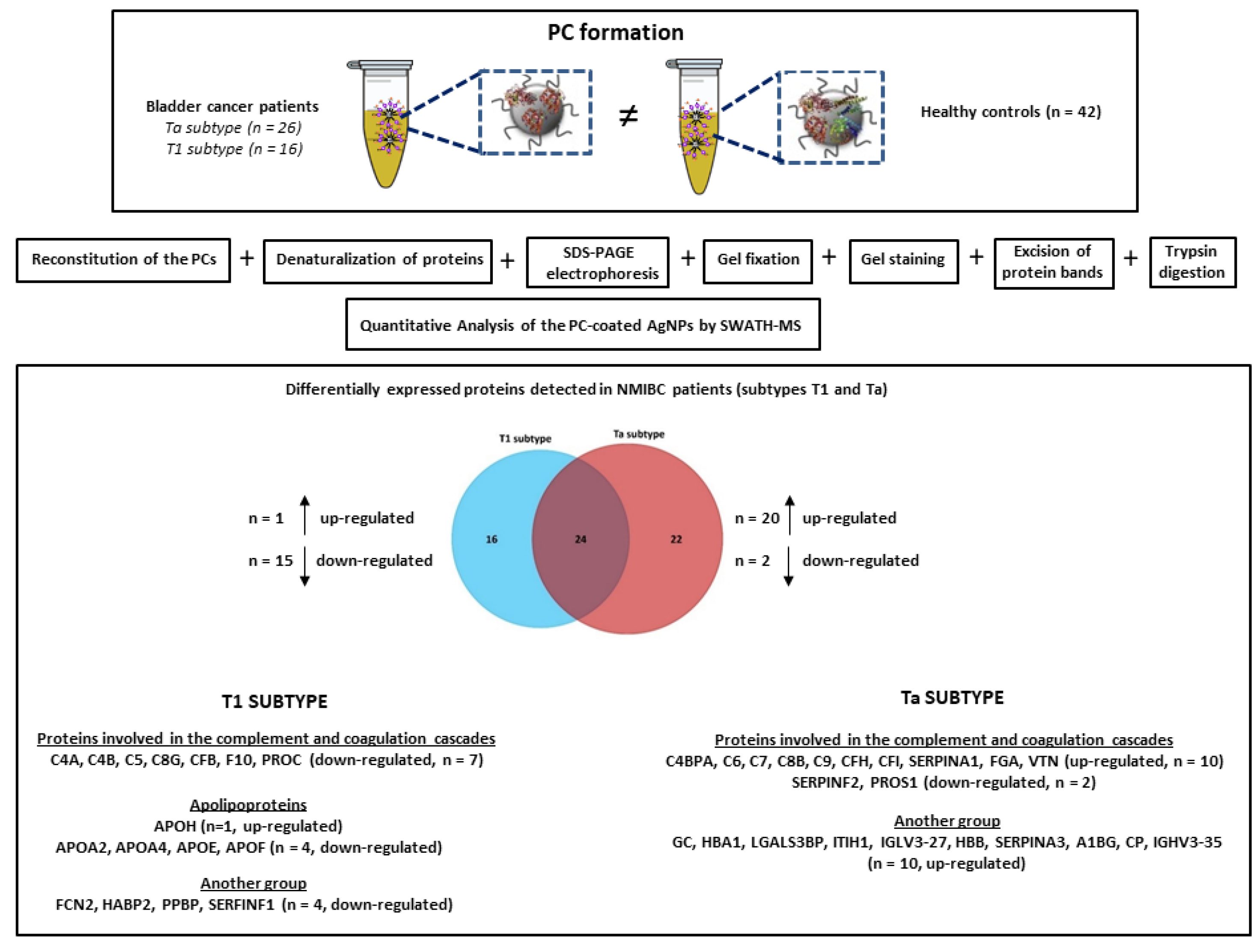 Nanomaterials 11 02384 g007 Nanomaterials 11 02384 g007