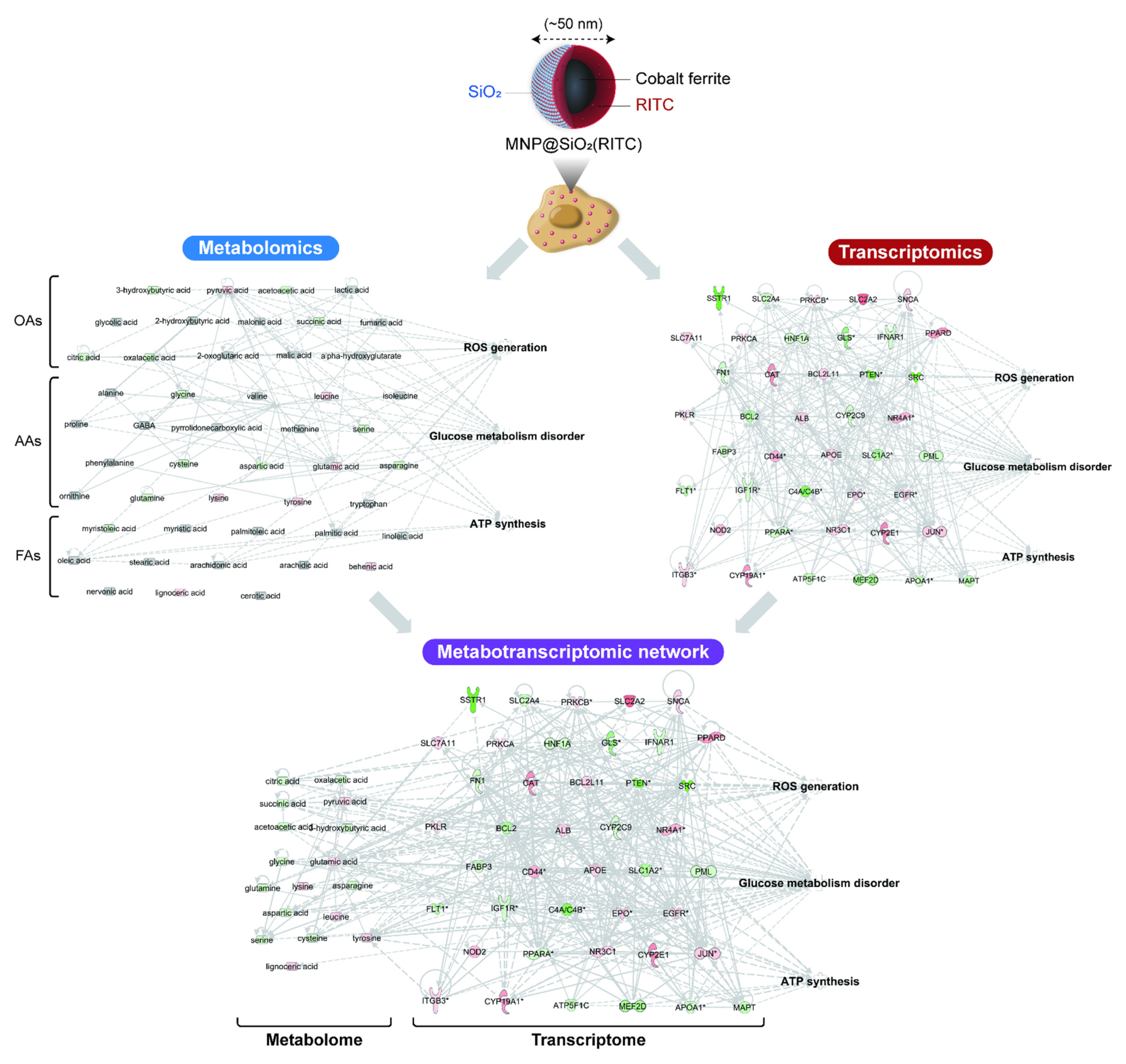 Nanomaterials 11 02385 g001 550