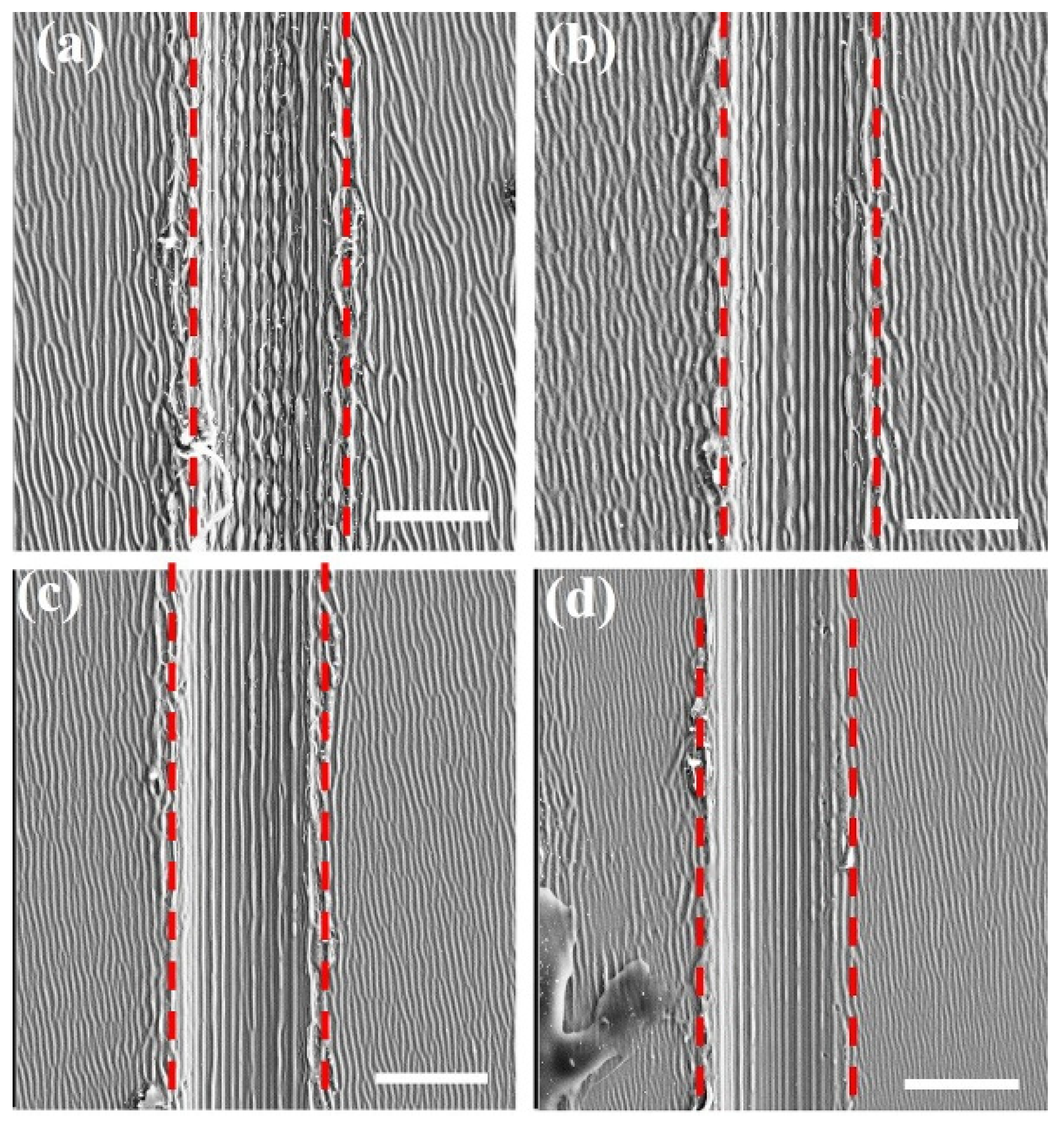 Nanomaterials 11 02389 g007 550
