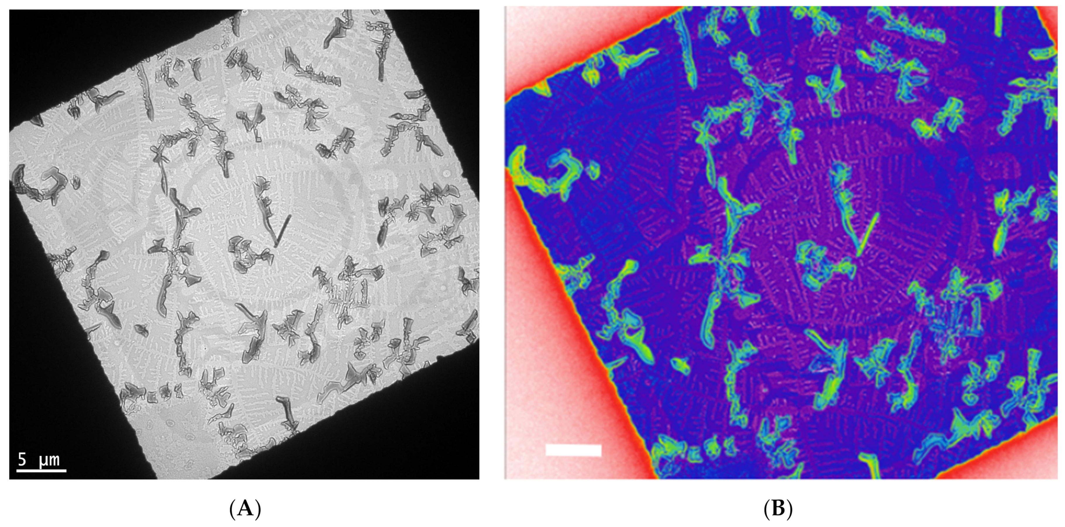 Nanomaterials 11 02405 g003