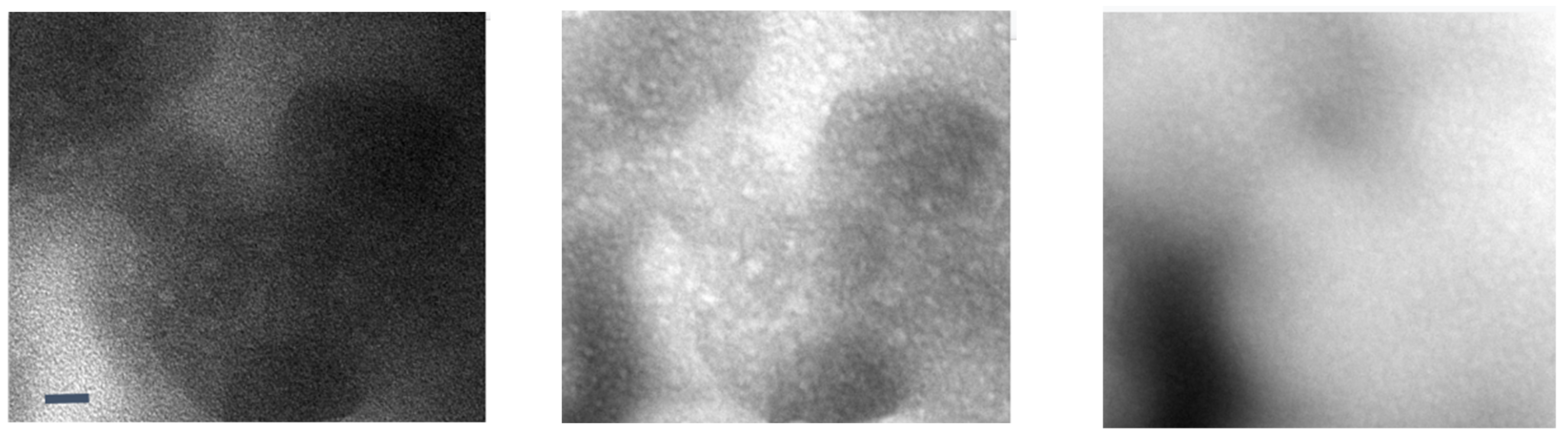 Nanomaterials 11 02405 g006