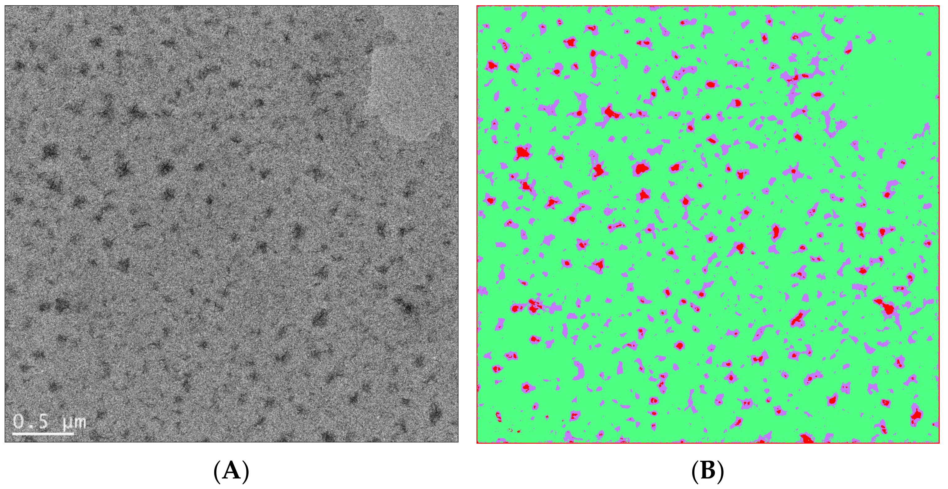 Nanomaterials 11 02405 g010