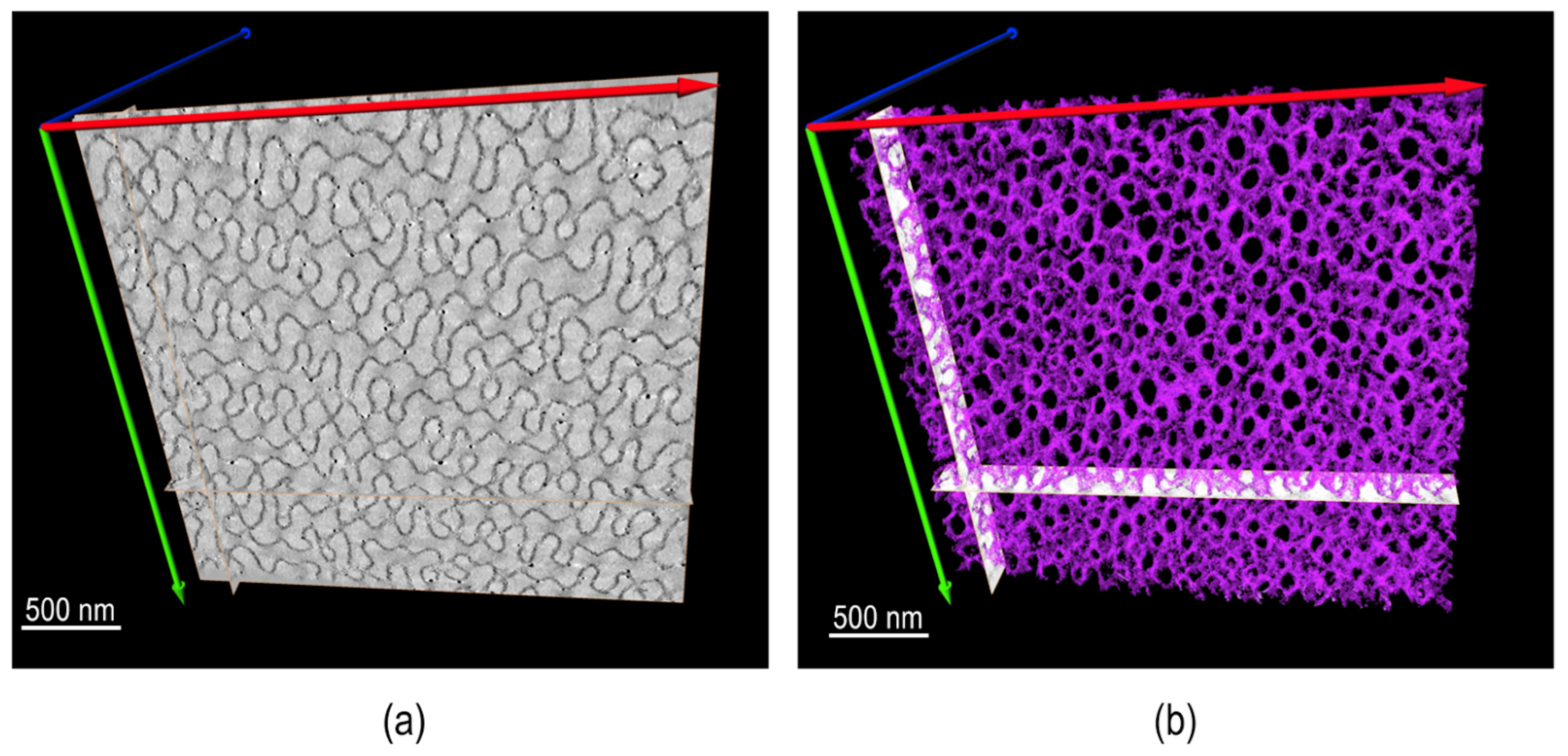 Nanomaterials 11 02405 g012