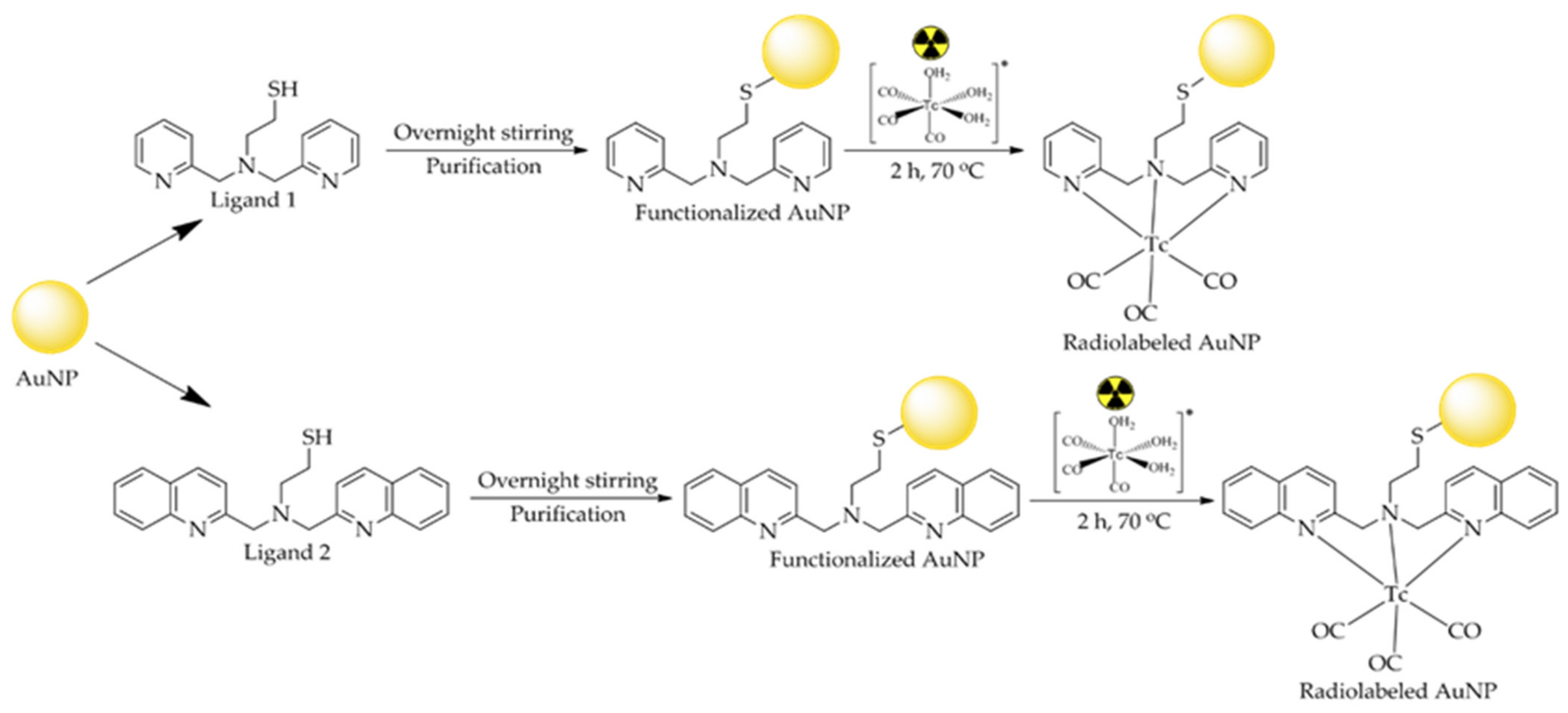 Nanomaterials Free FullText Synthesis and In Vitro Evaluation of