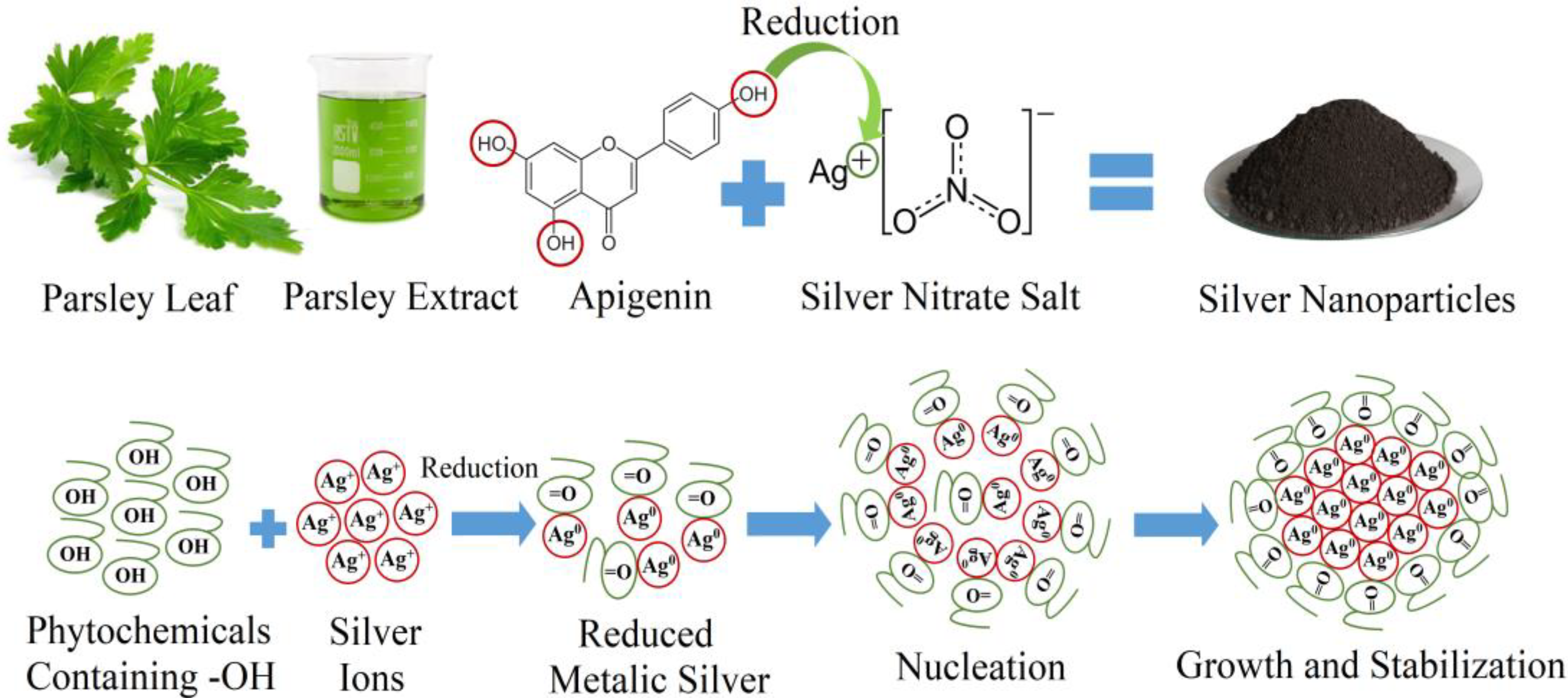 Nanomaterials 11 02421 g001 550