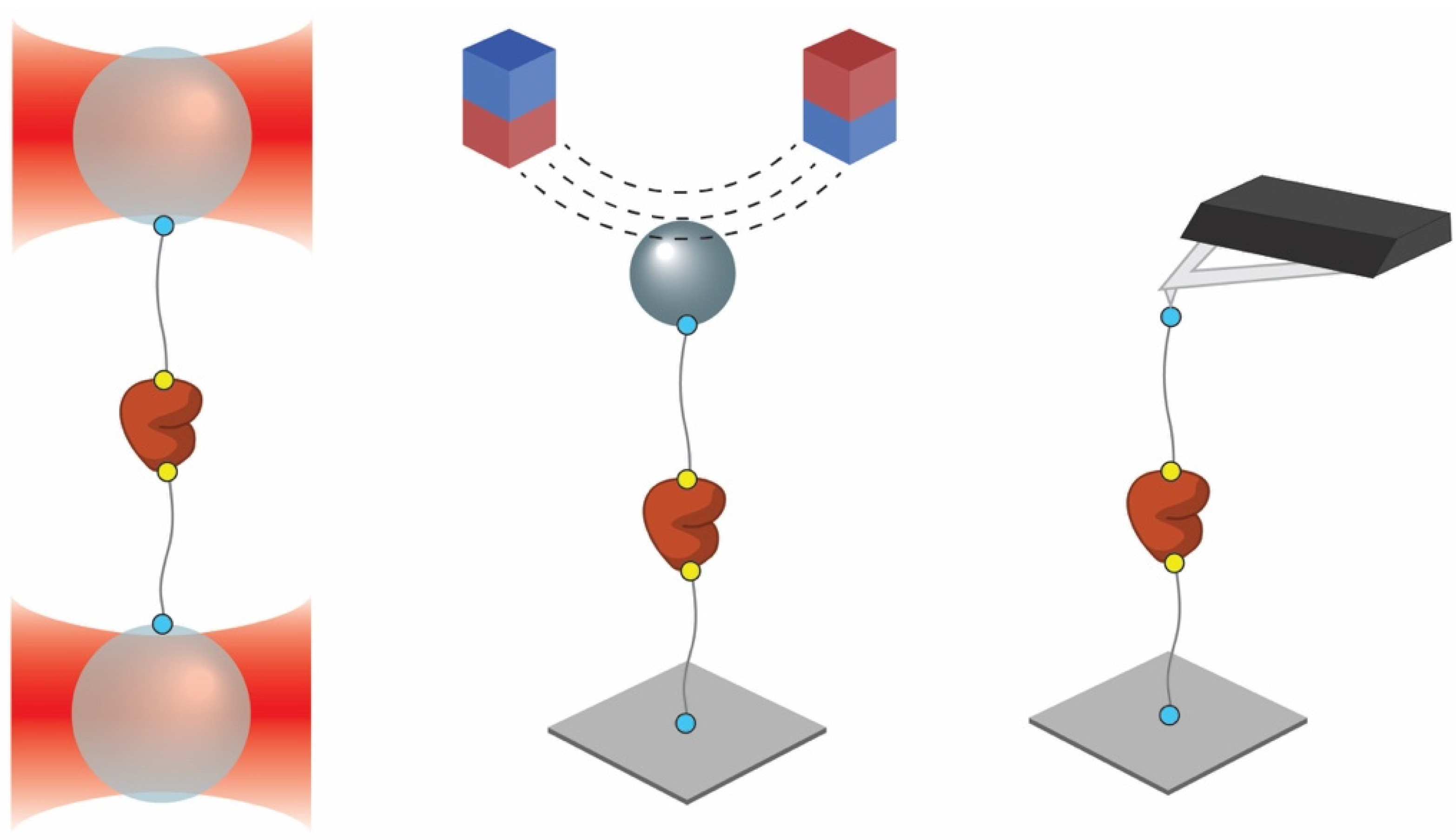 Nanomaterials 11 02424 g001