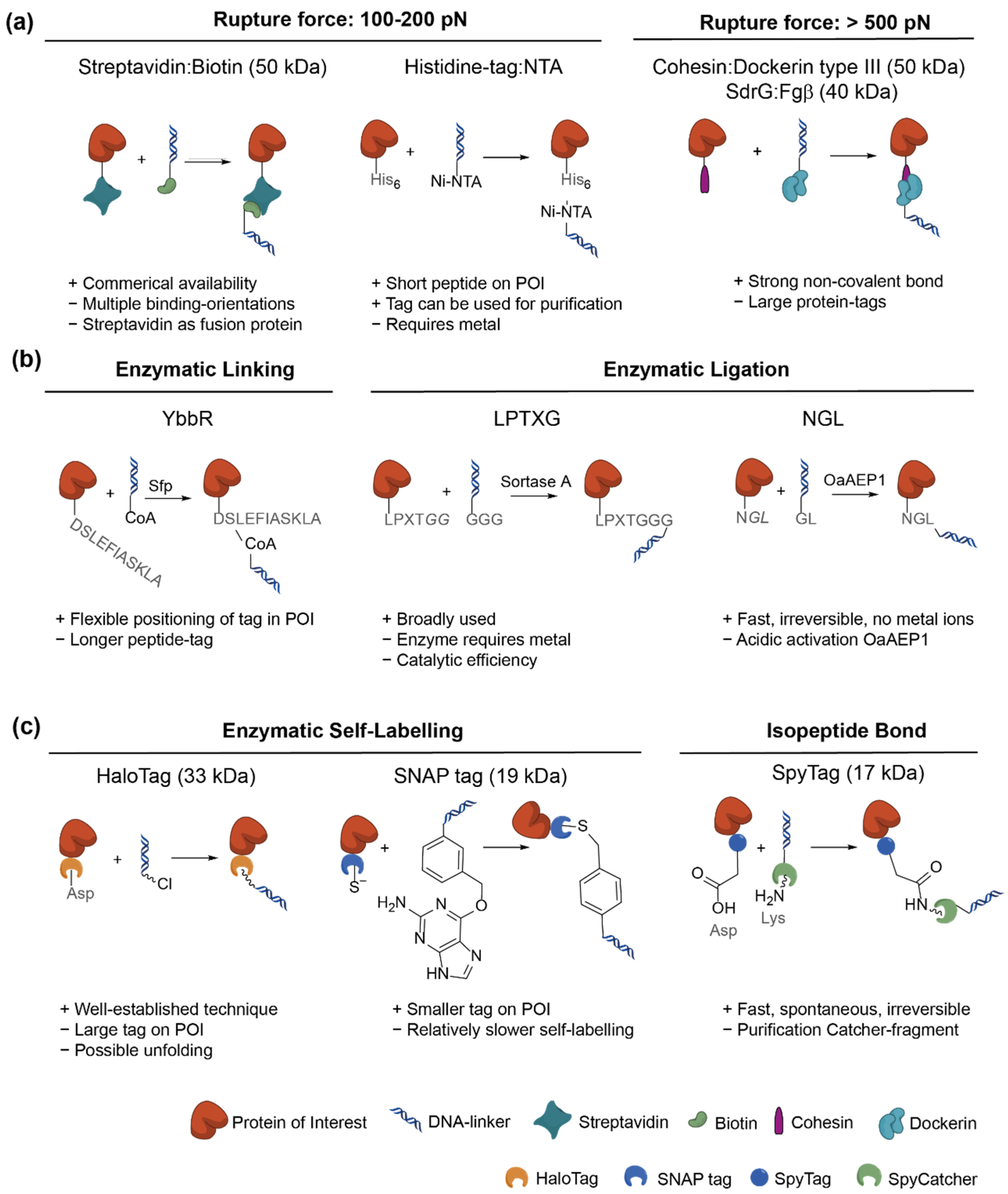 Nanomaterials 11 02424 g002