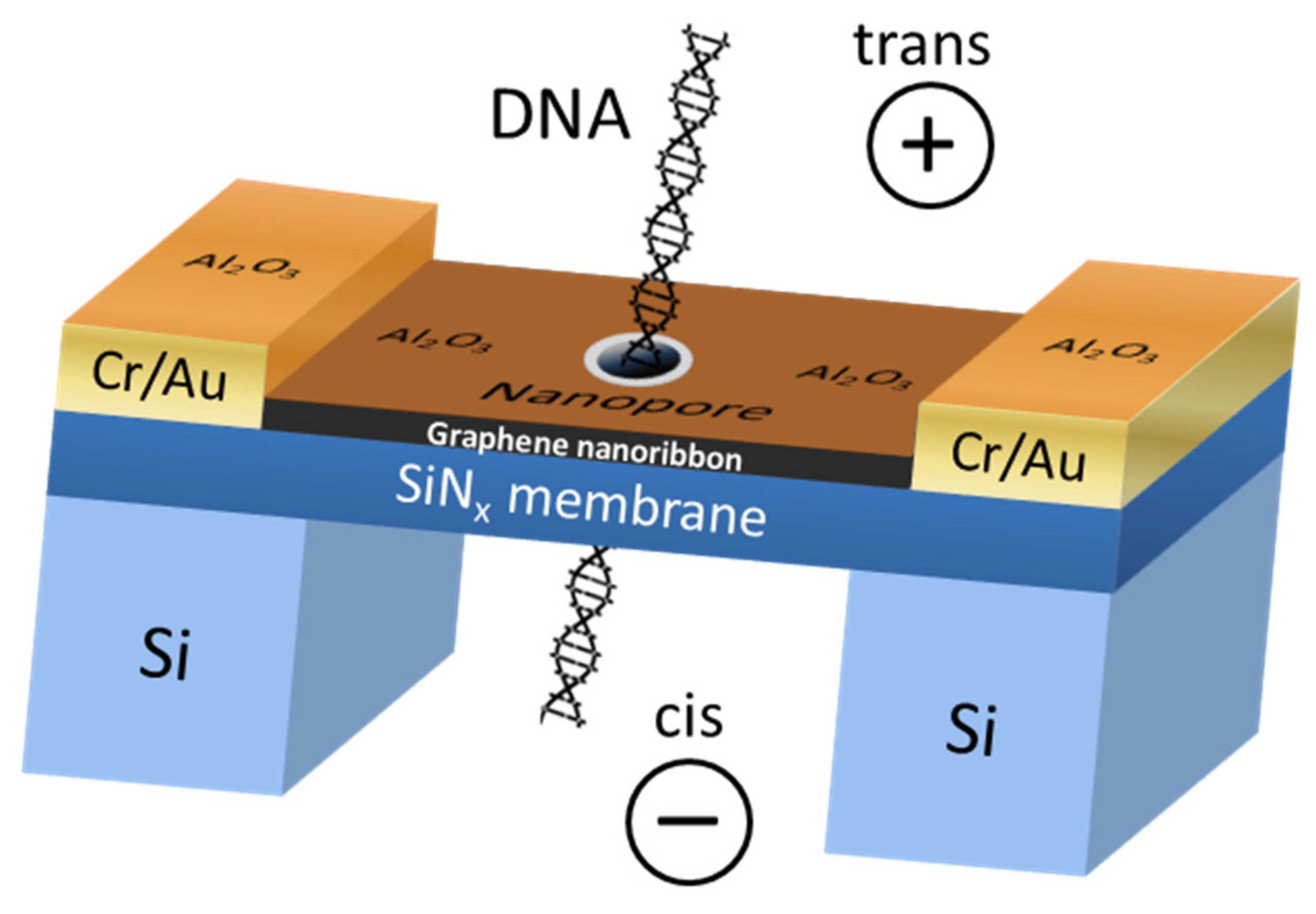 Nanomaterials 11 02425 g004 550