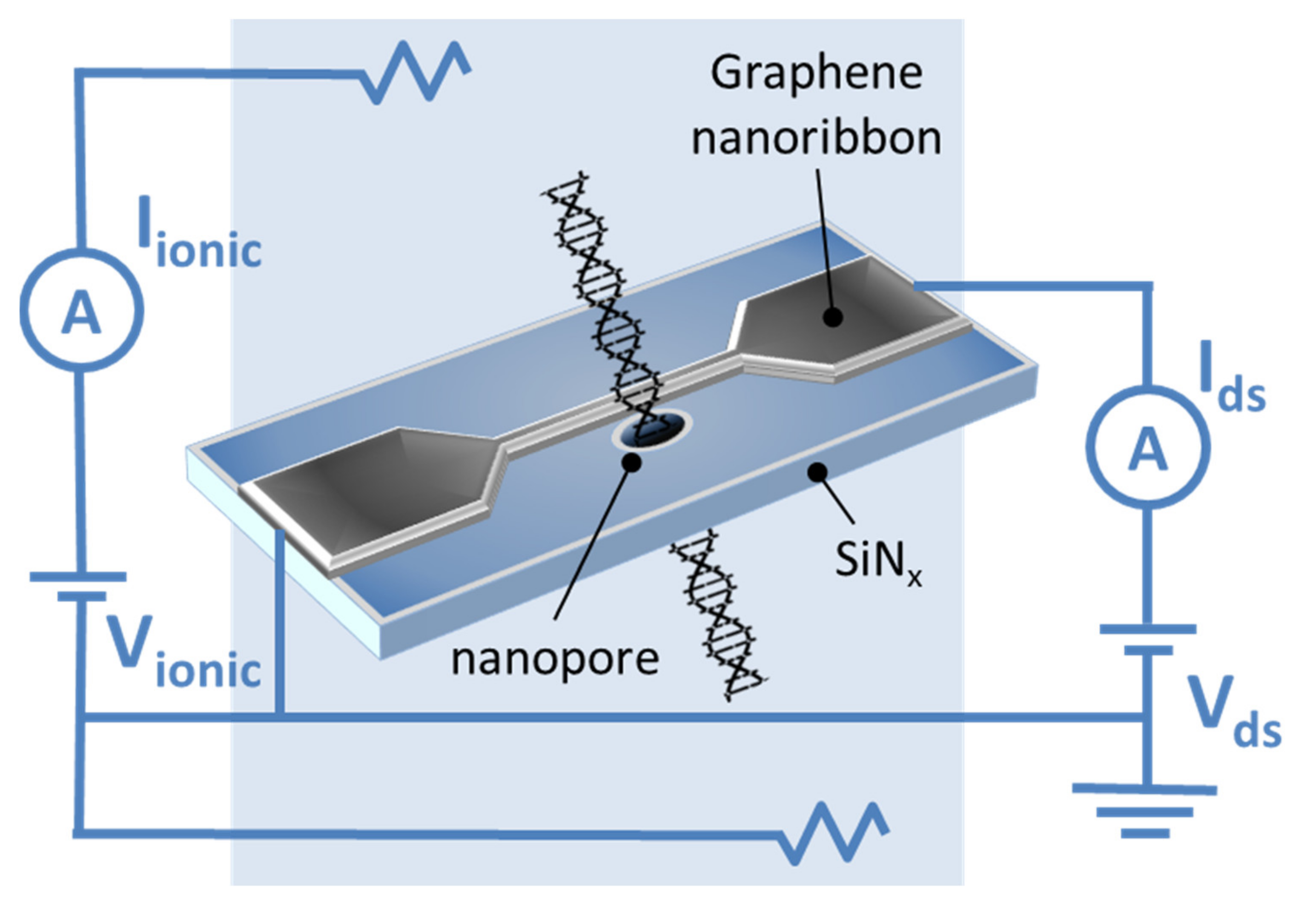Nanomaterials 11 02425 g005 550