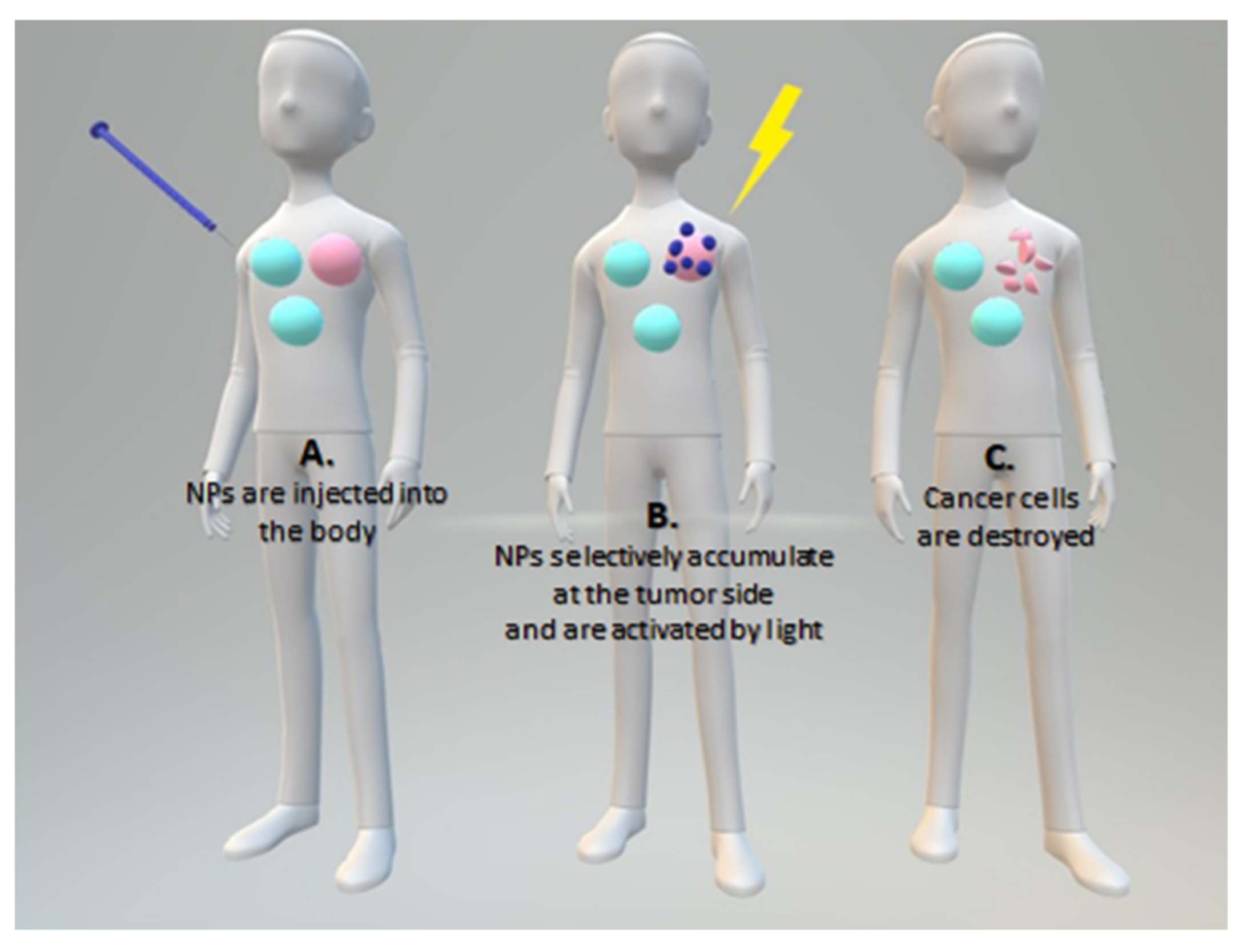 Nanomaterials 11 02426 sch001