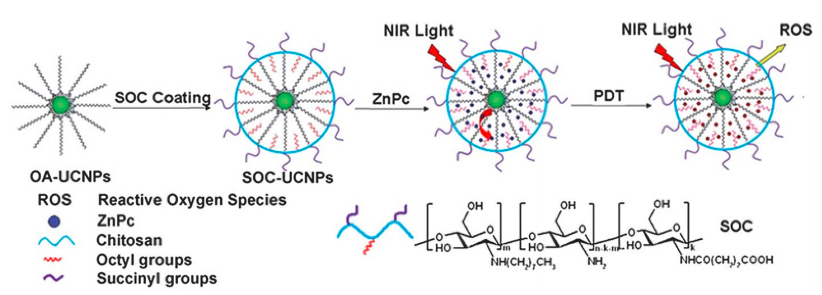 Nanomaterials 11 02426 sch011