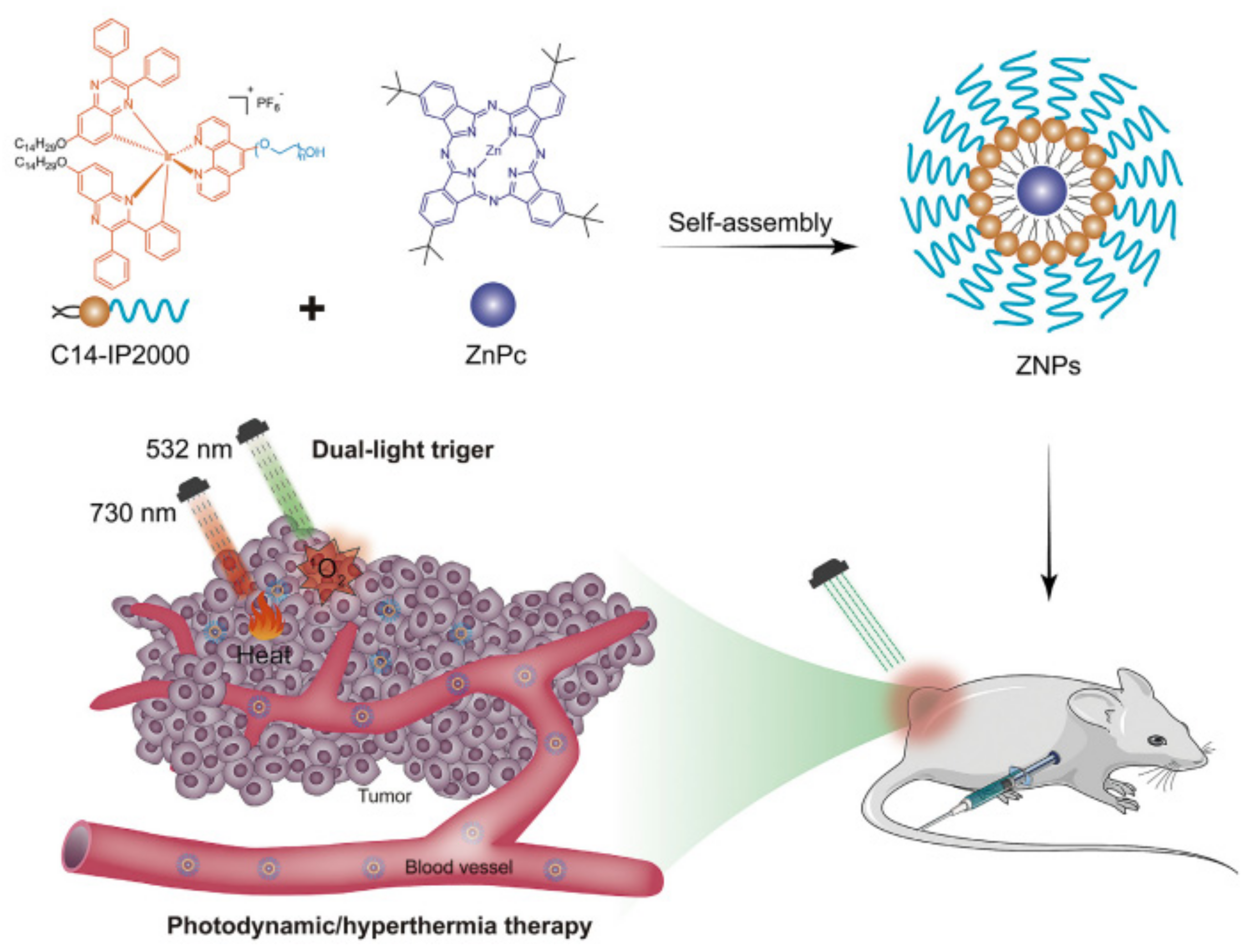 Nanomaterials 11 02426 sch015