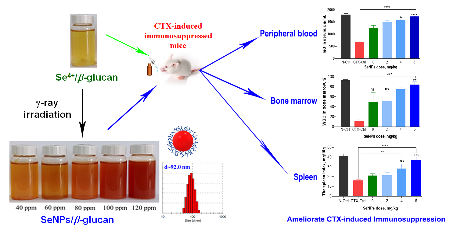 Nanomaterials Free FullText Radiation Synthesis of Selenium