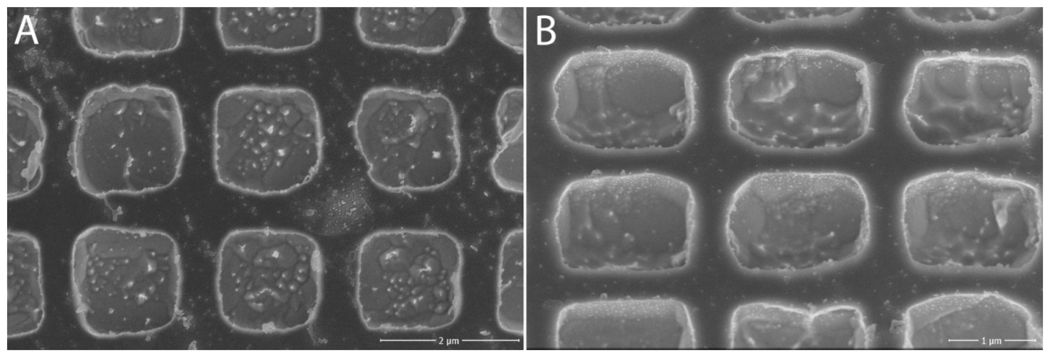 Nanomaterials 11 02443 g005 550