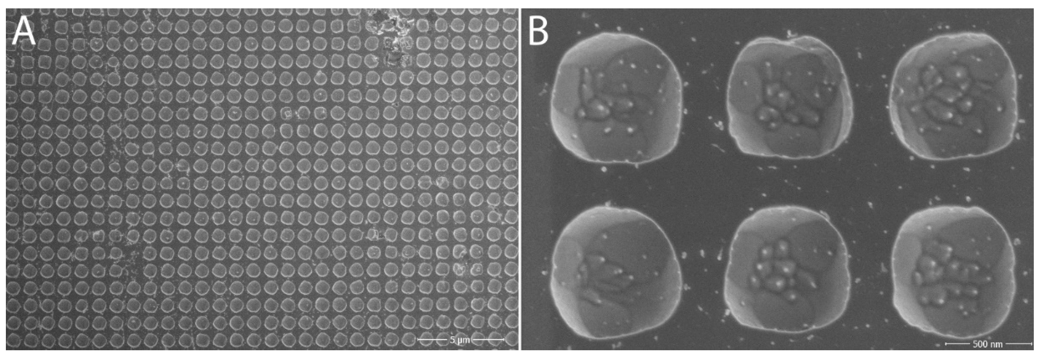 Nanomaterials 11 02443 g009 550