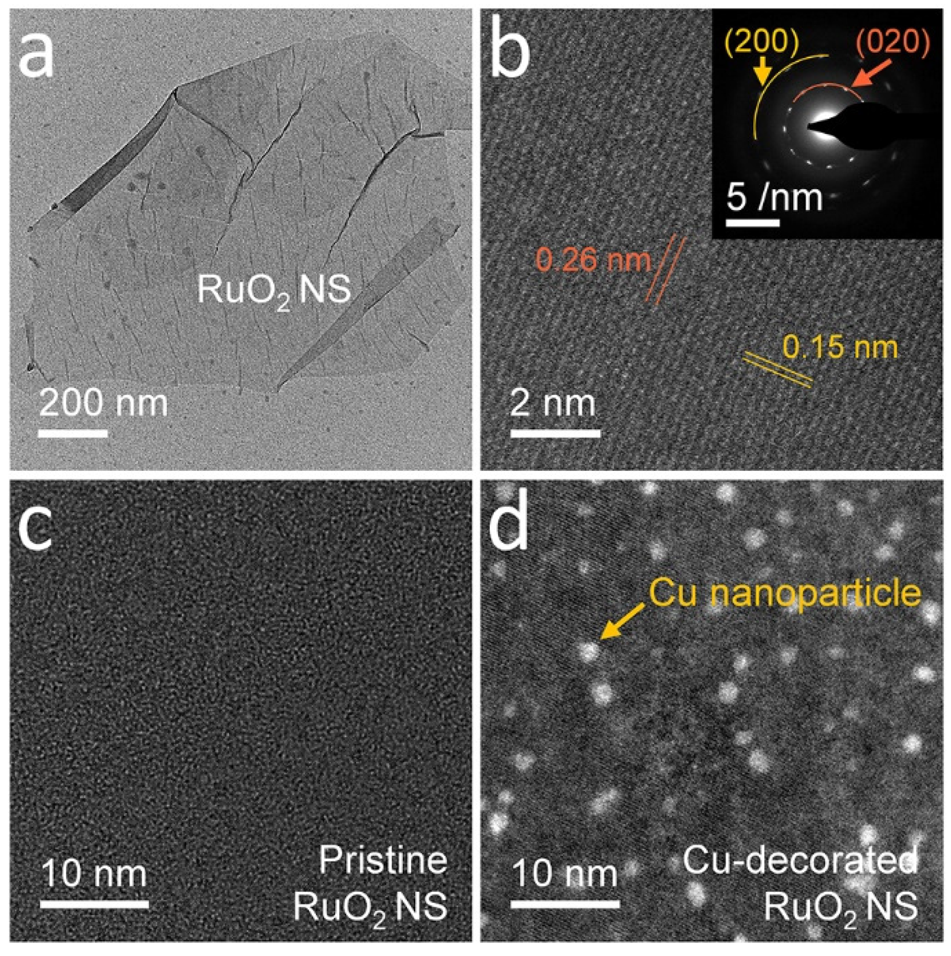 Nanomaterials 11 02444 g001