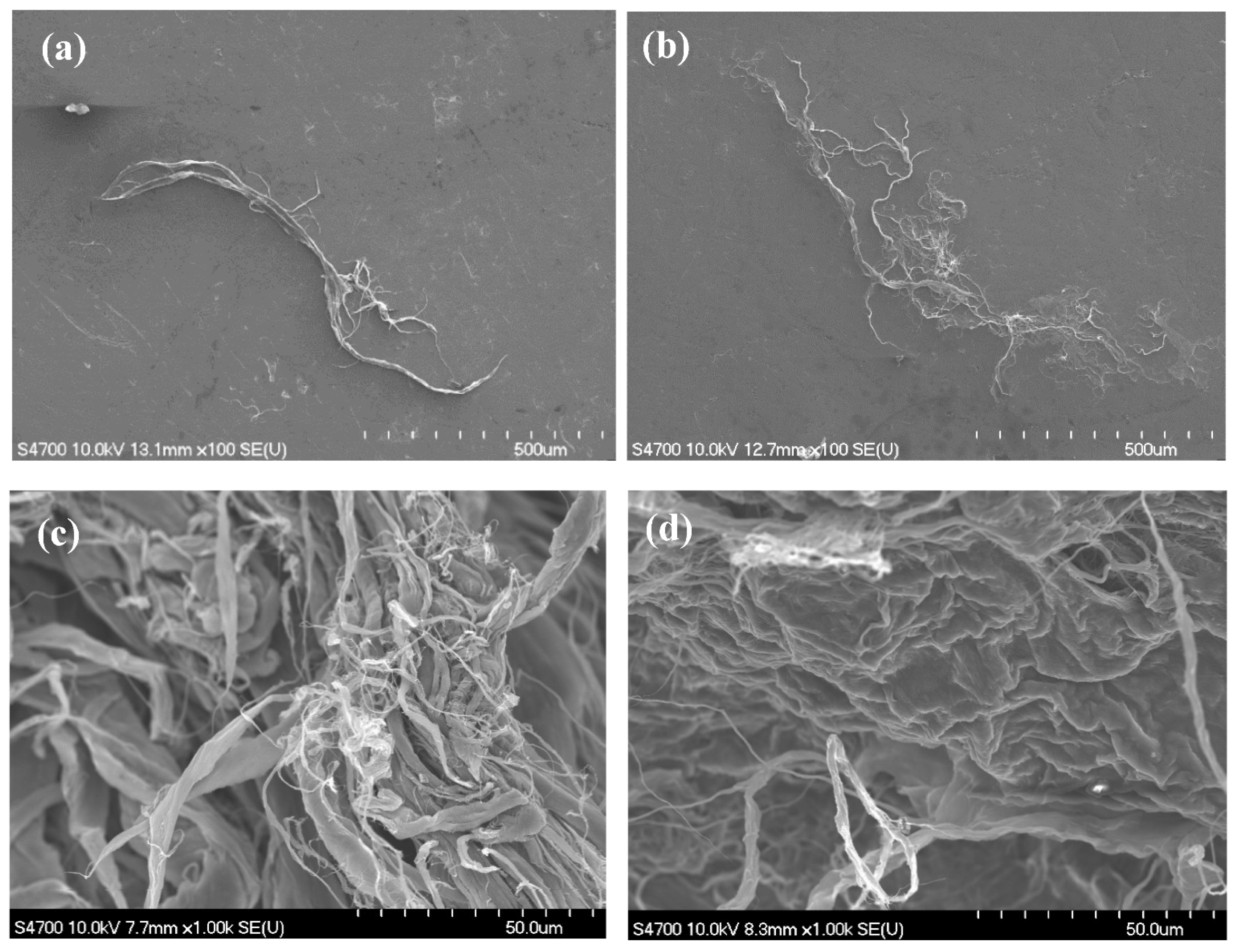 Nanomaterials 11 02445 g002 550