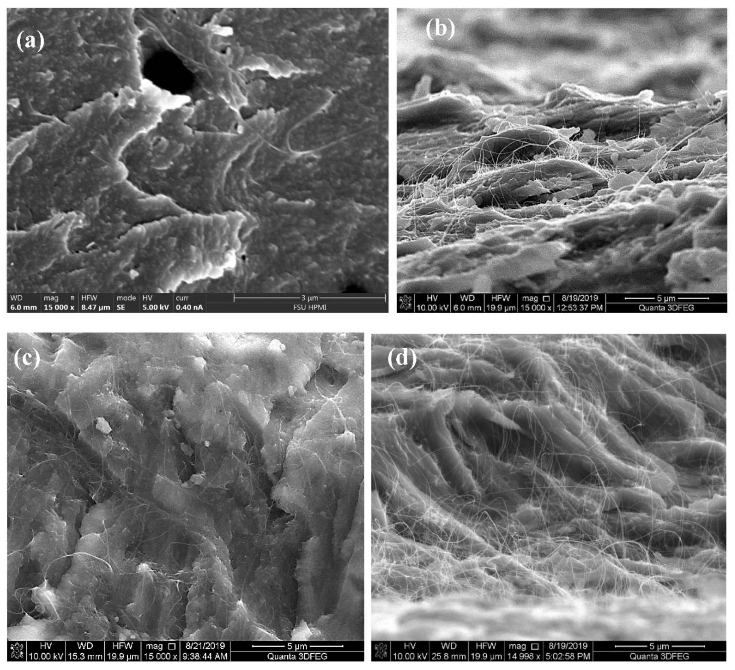 Nanomaterials 11 02445 g003 550