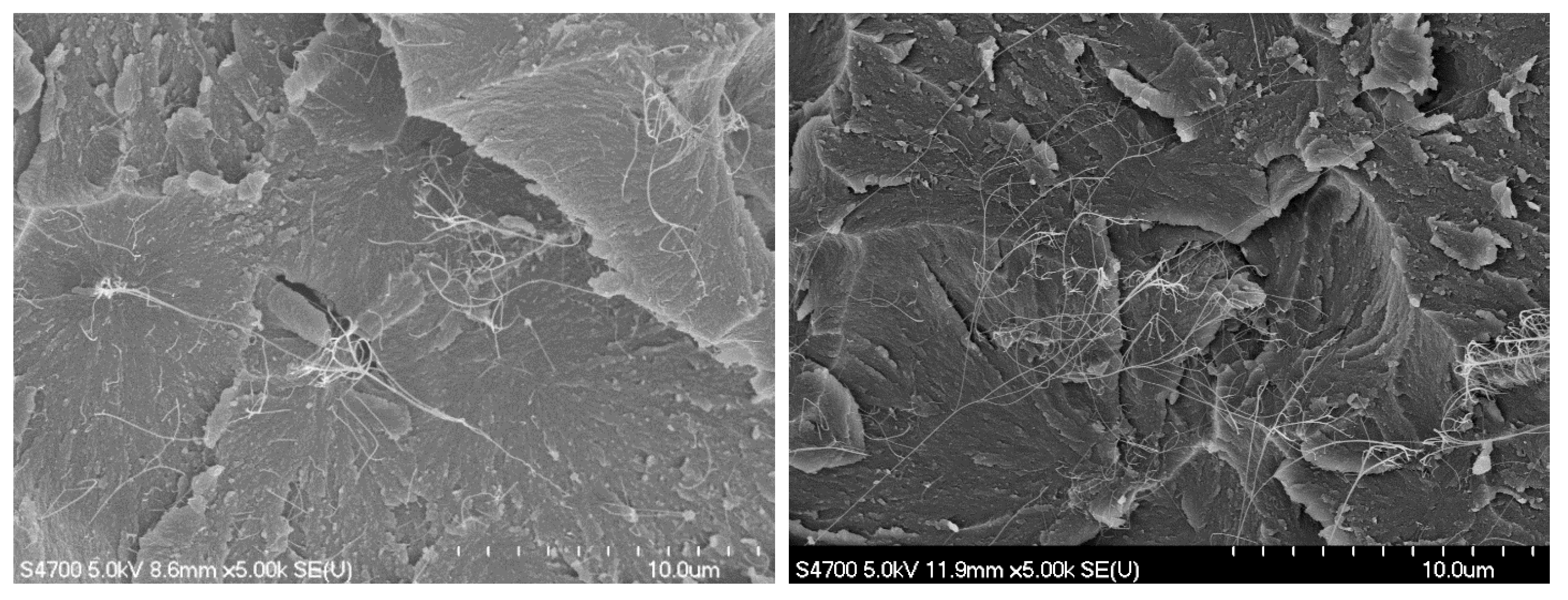 Nanomaterials 11 02445 g004 550