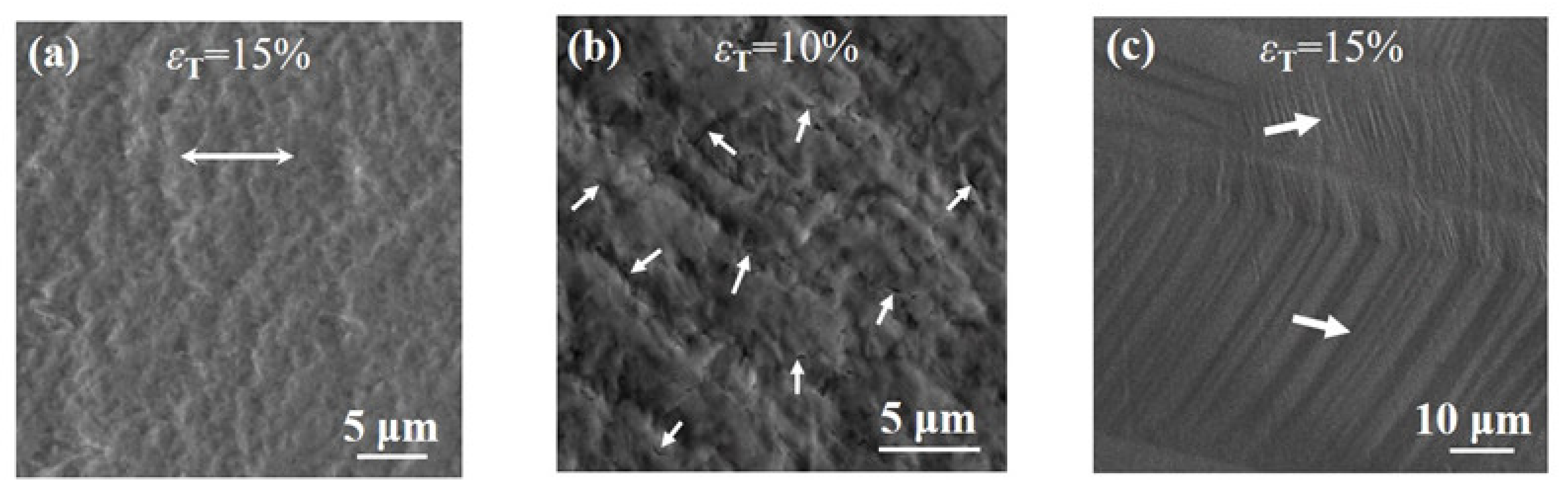 Nanomaterials 11 02451 g003