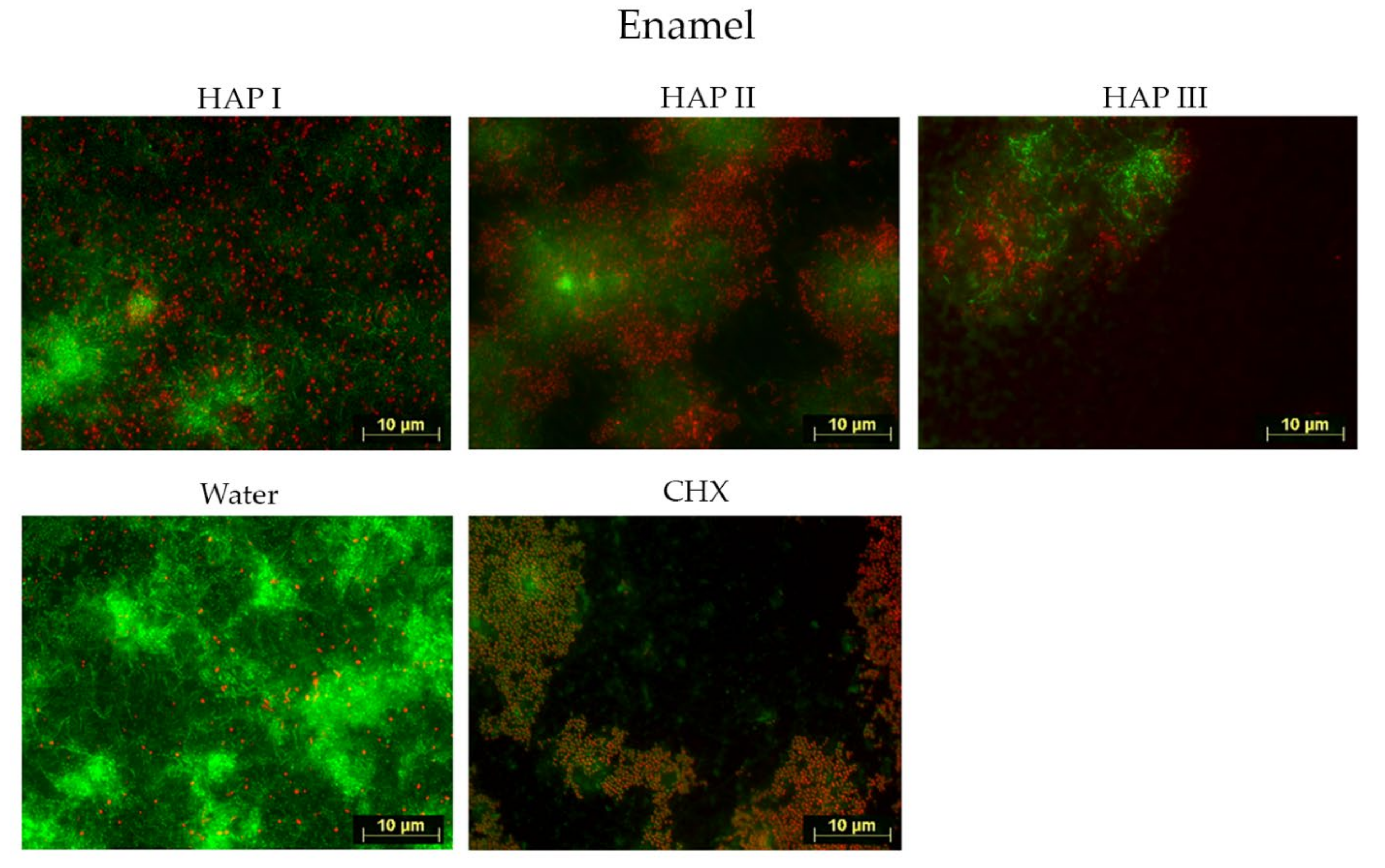 Nanomaterials 11 02452 g002