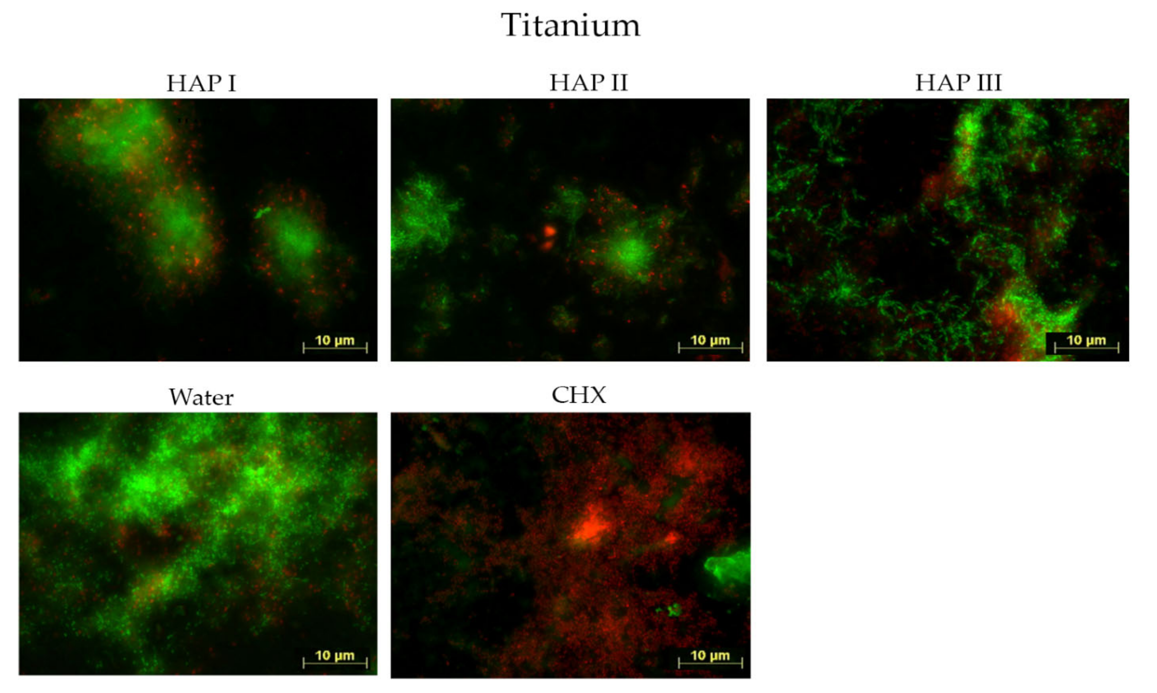 Nanomaterials 11 02452 g003